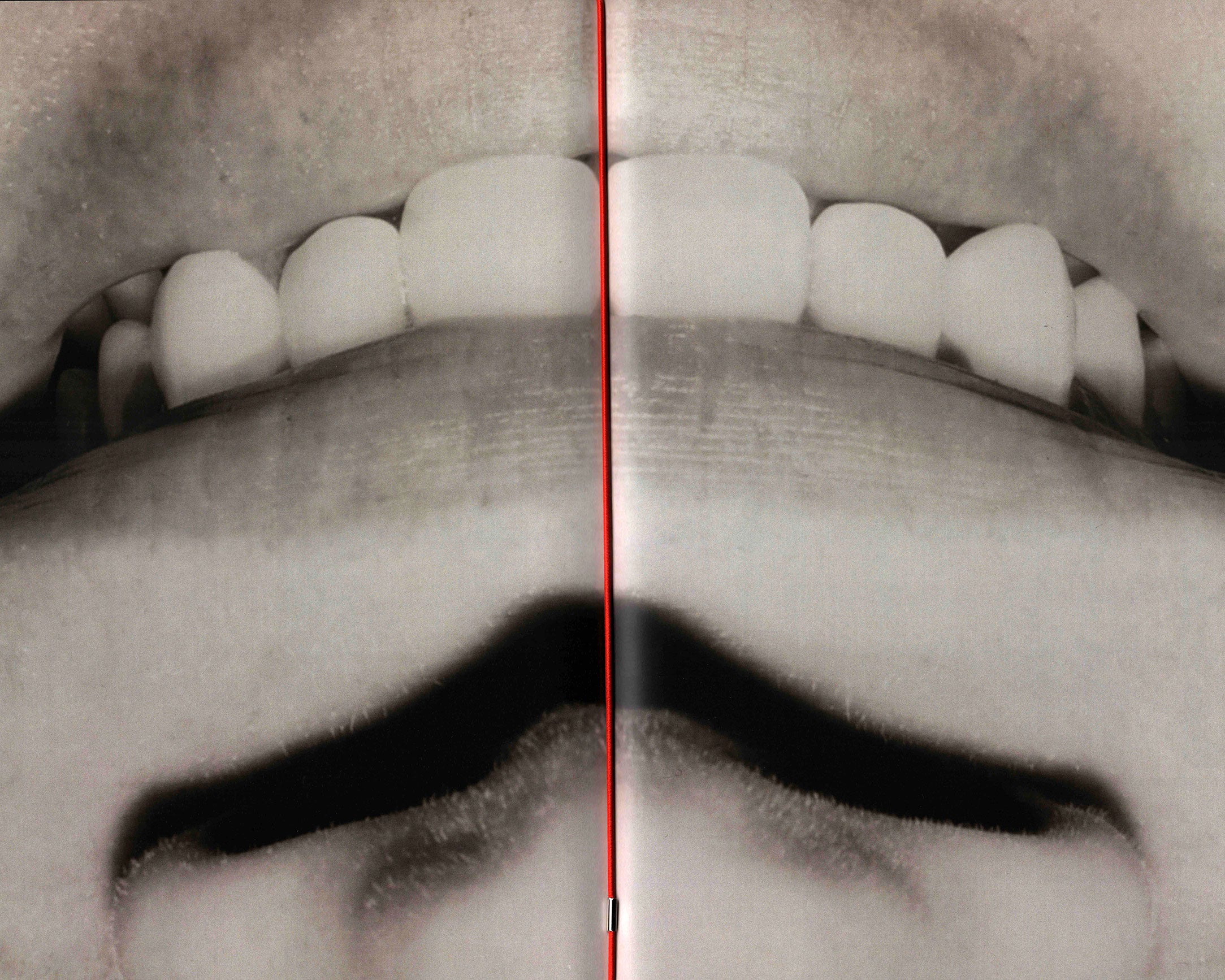 Since For: Jarod Taber & Jack Bool