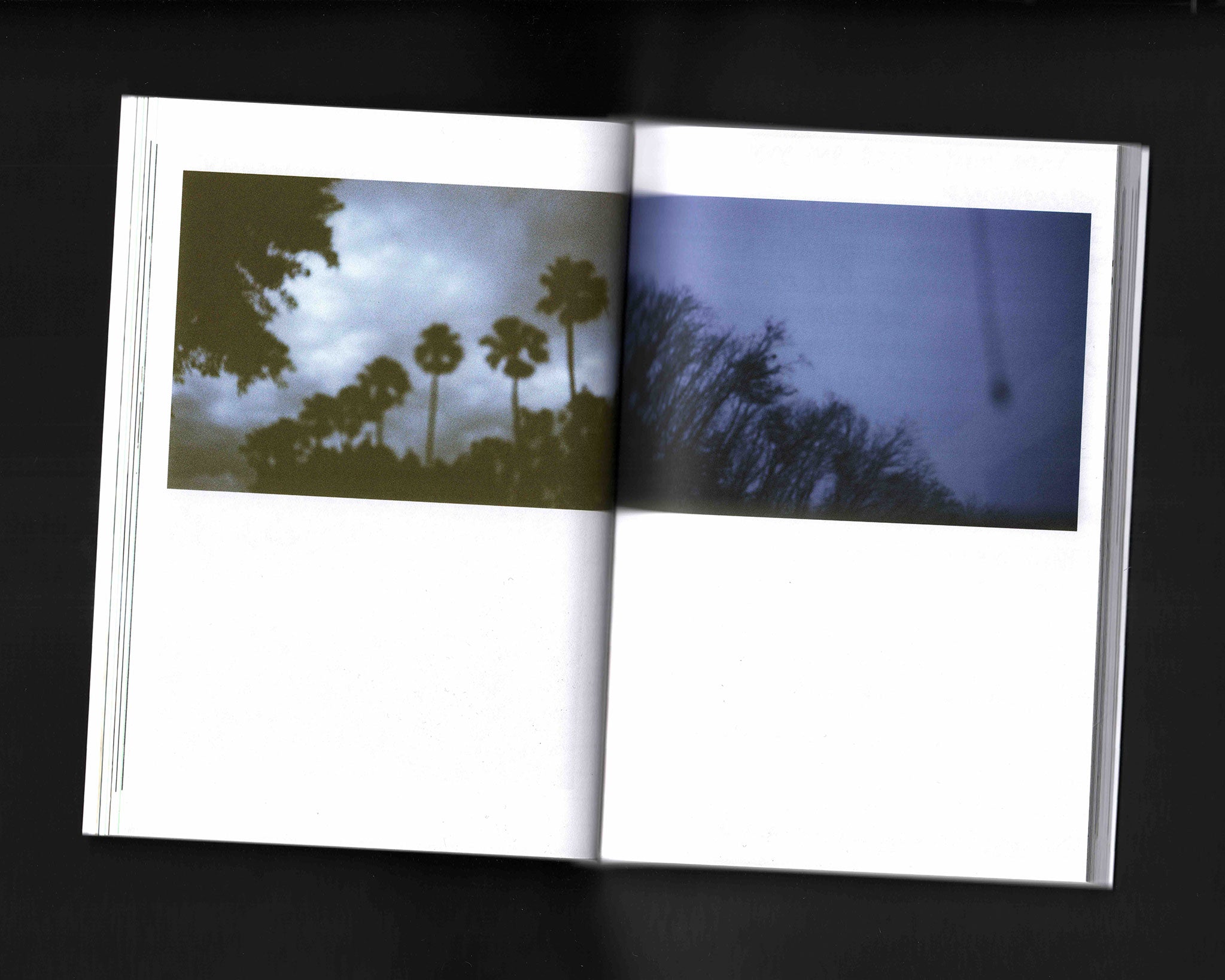 Vapor Trail: Jenn Kang