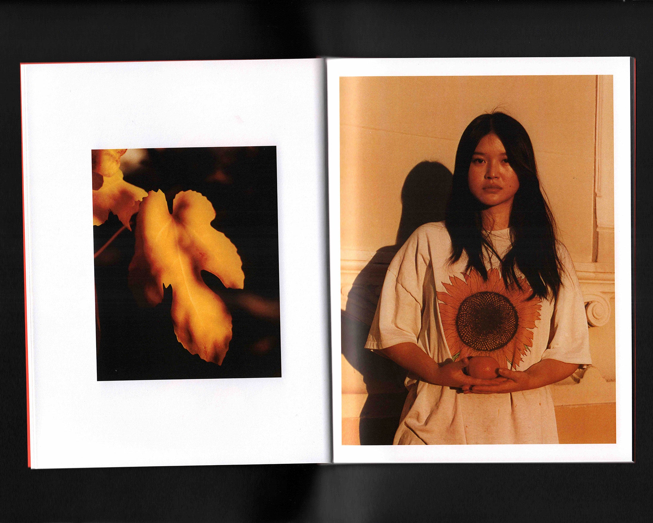 Seasons of Harmony: Julien Sage