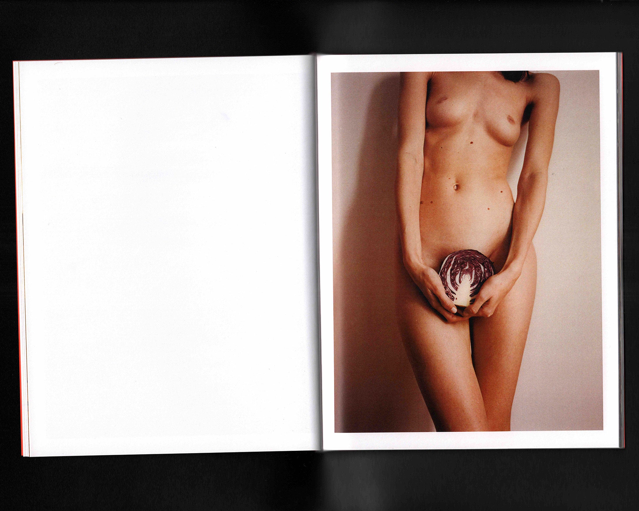 Seasons of Harmony: Julien Sage