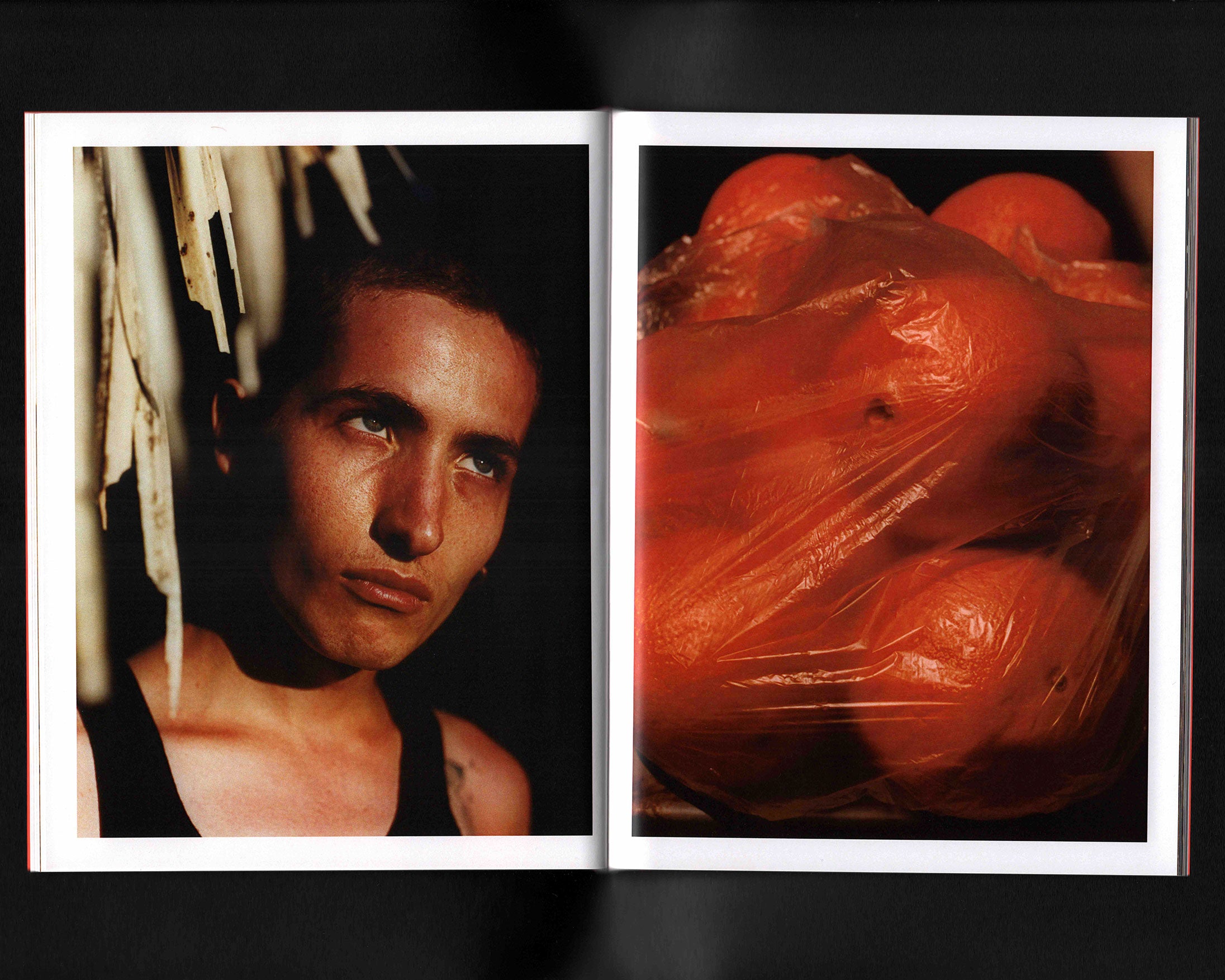 Seasons of Harmony: Julien Sage