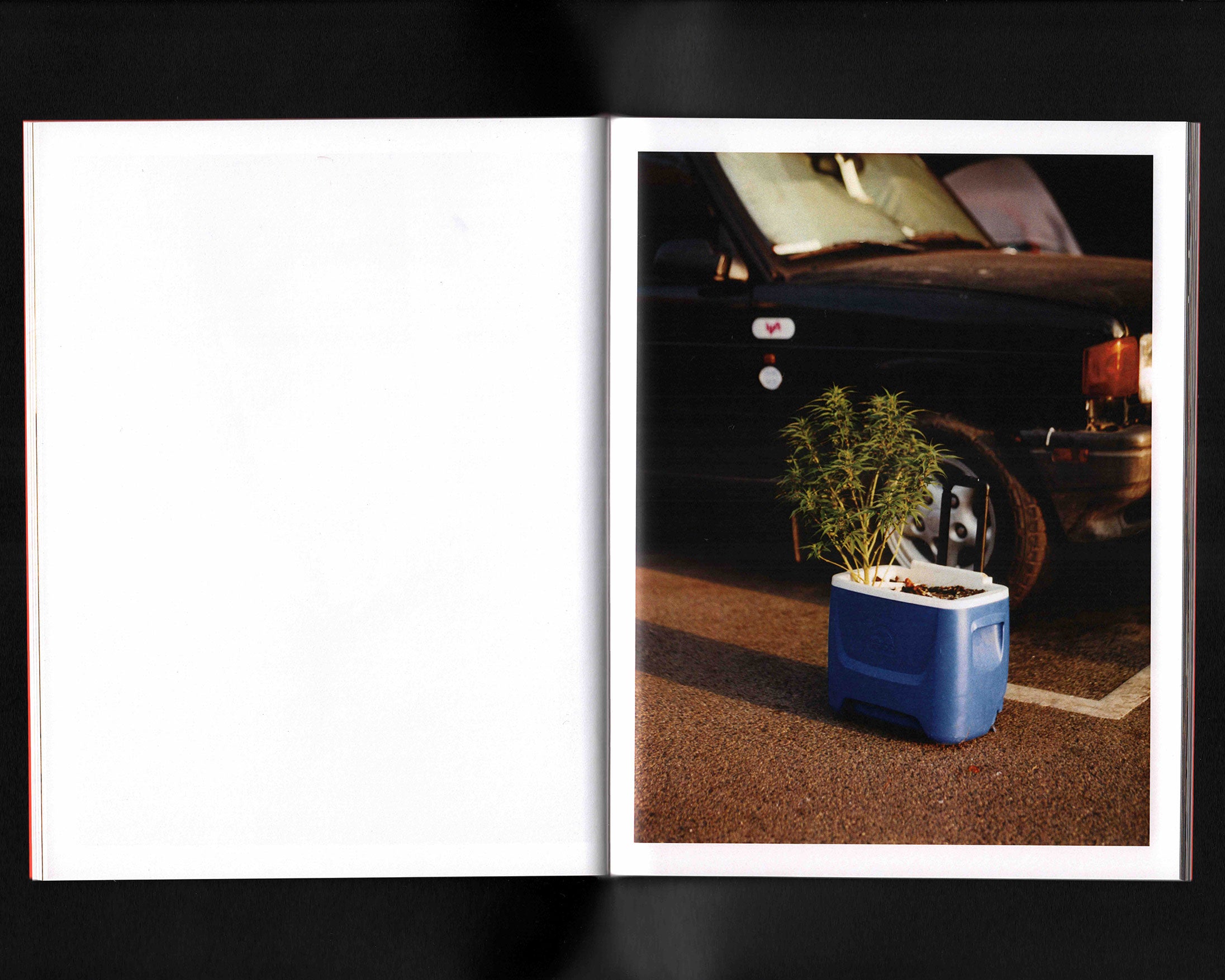 Seasons of Harmony: Julien Sage