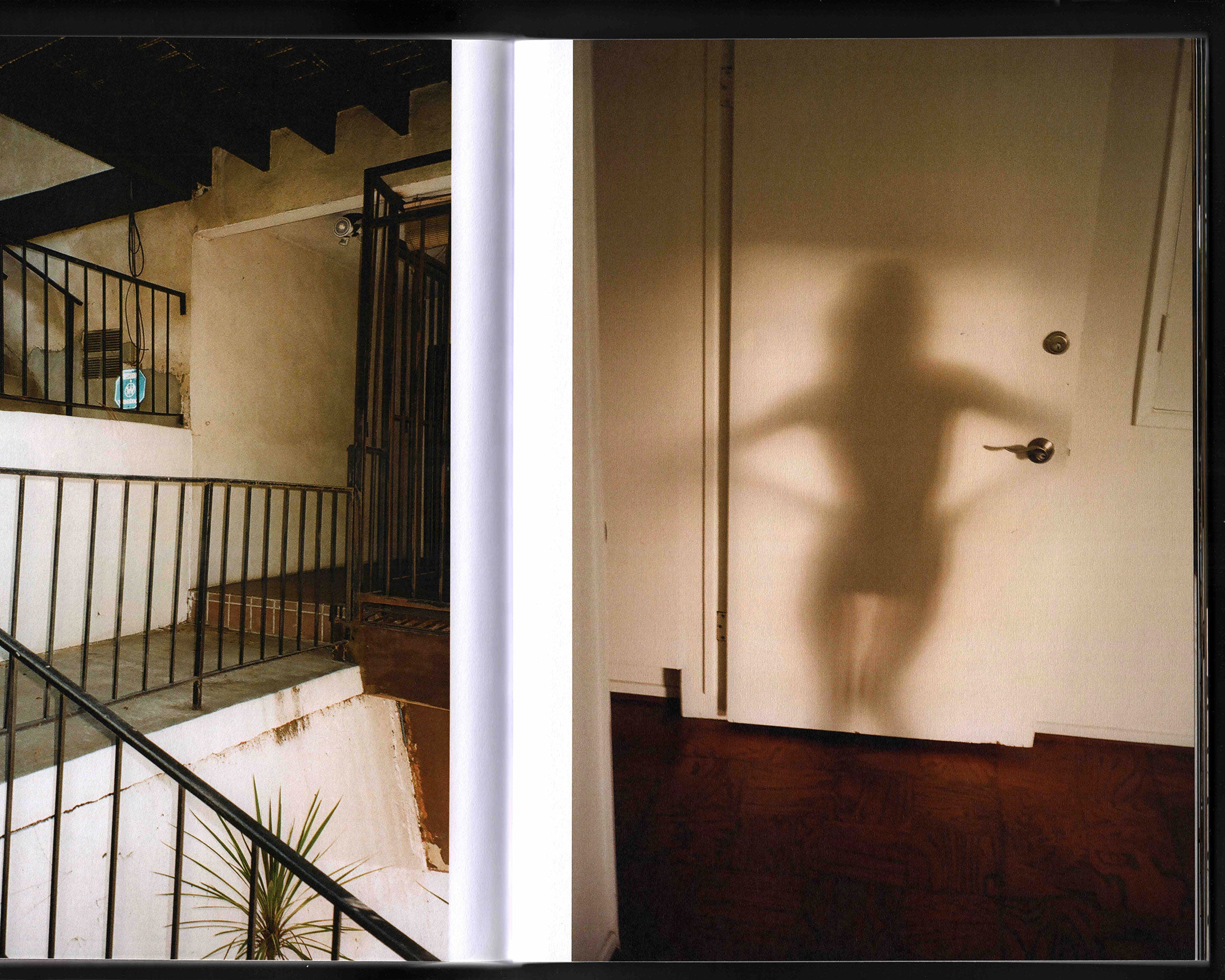 A Spot: Phoenix Johnson