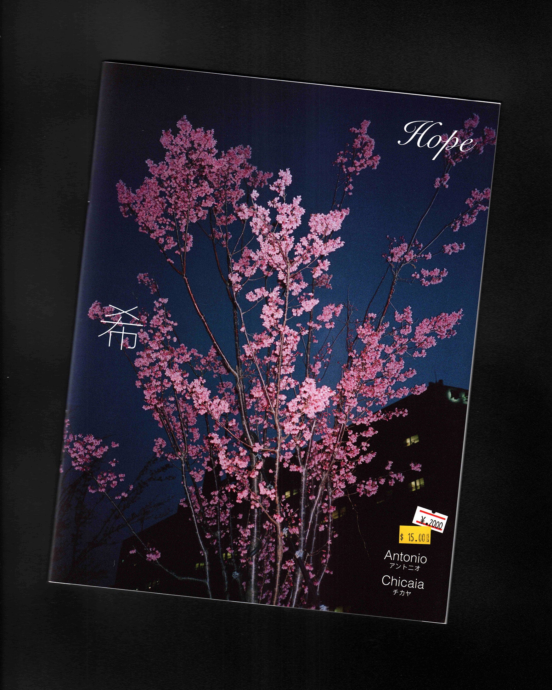 Antonio Chicaia: Hope