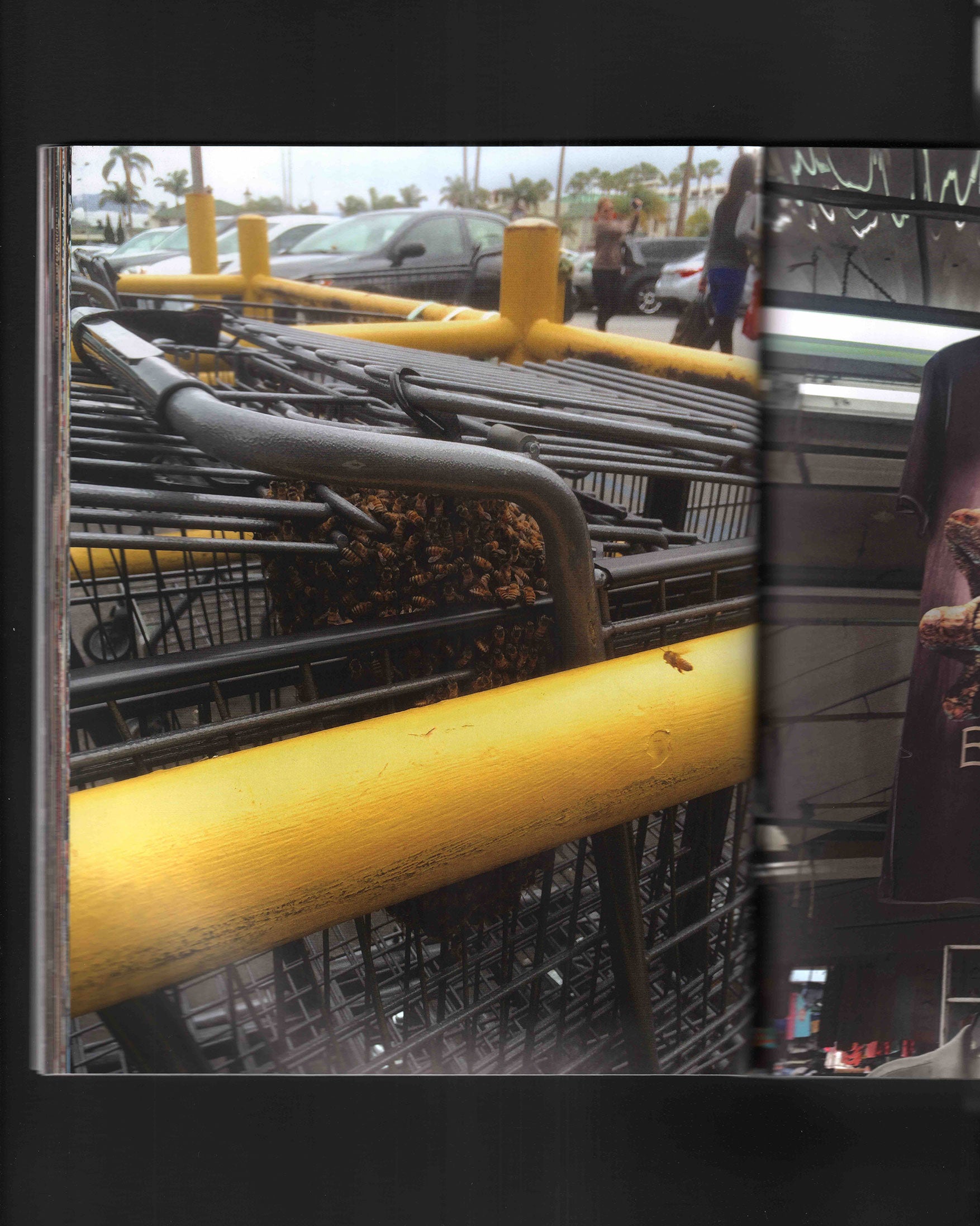 Lonley City: Jerry Hsu