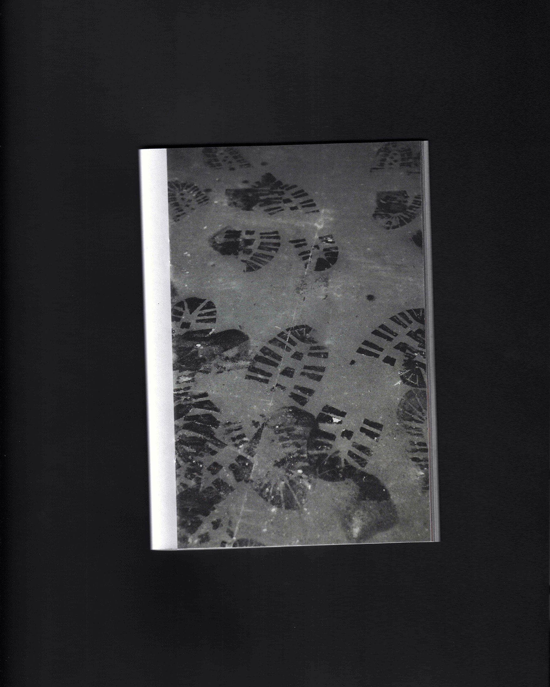 Dull and Wicked: Daniel Arnabar