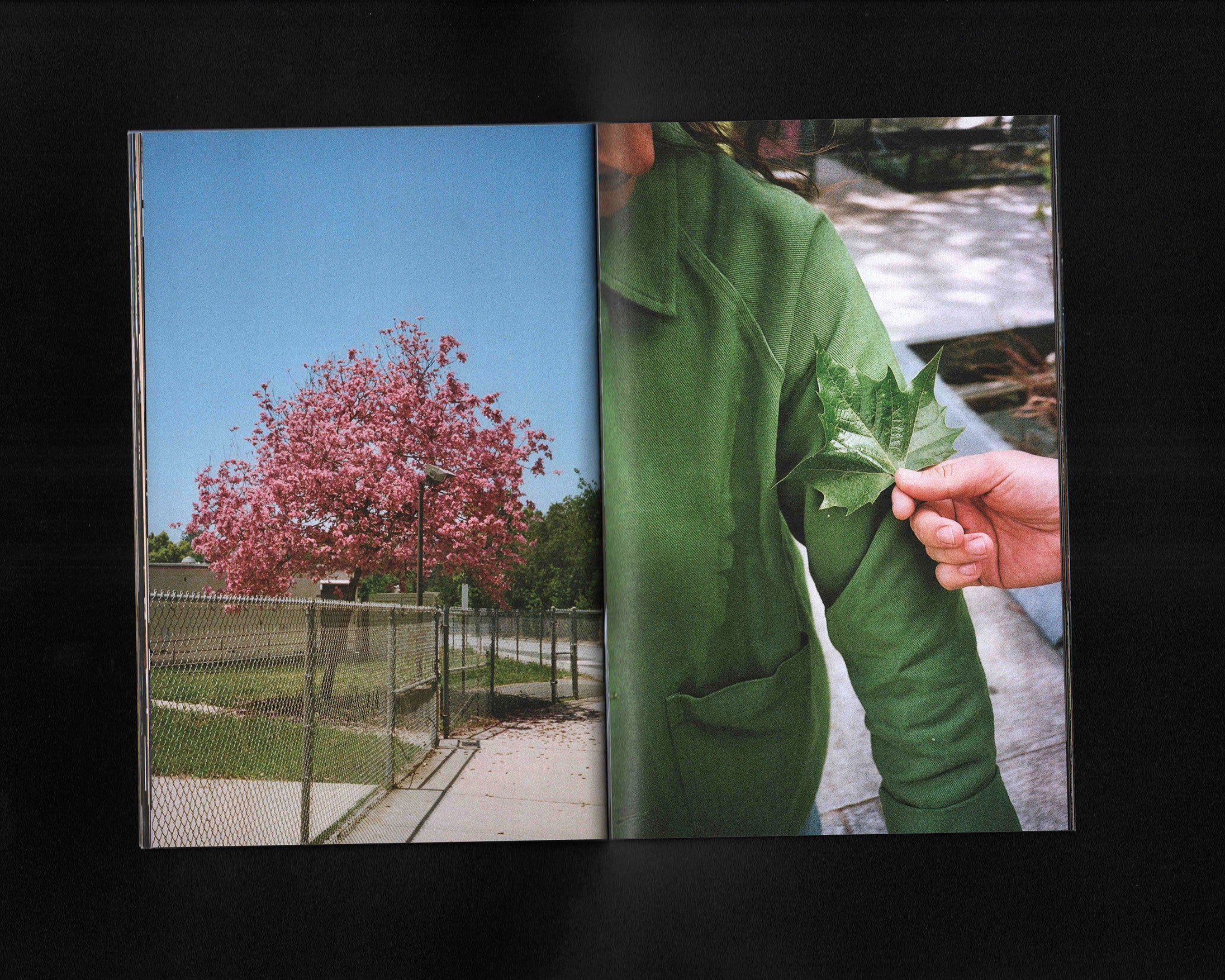 Slow Education: Chris Black