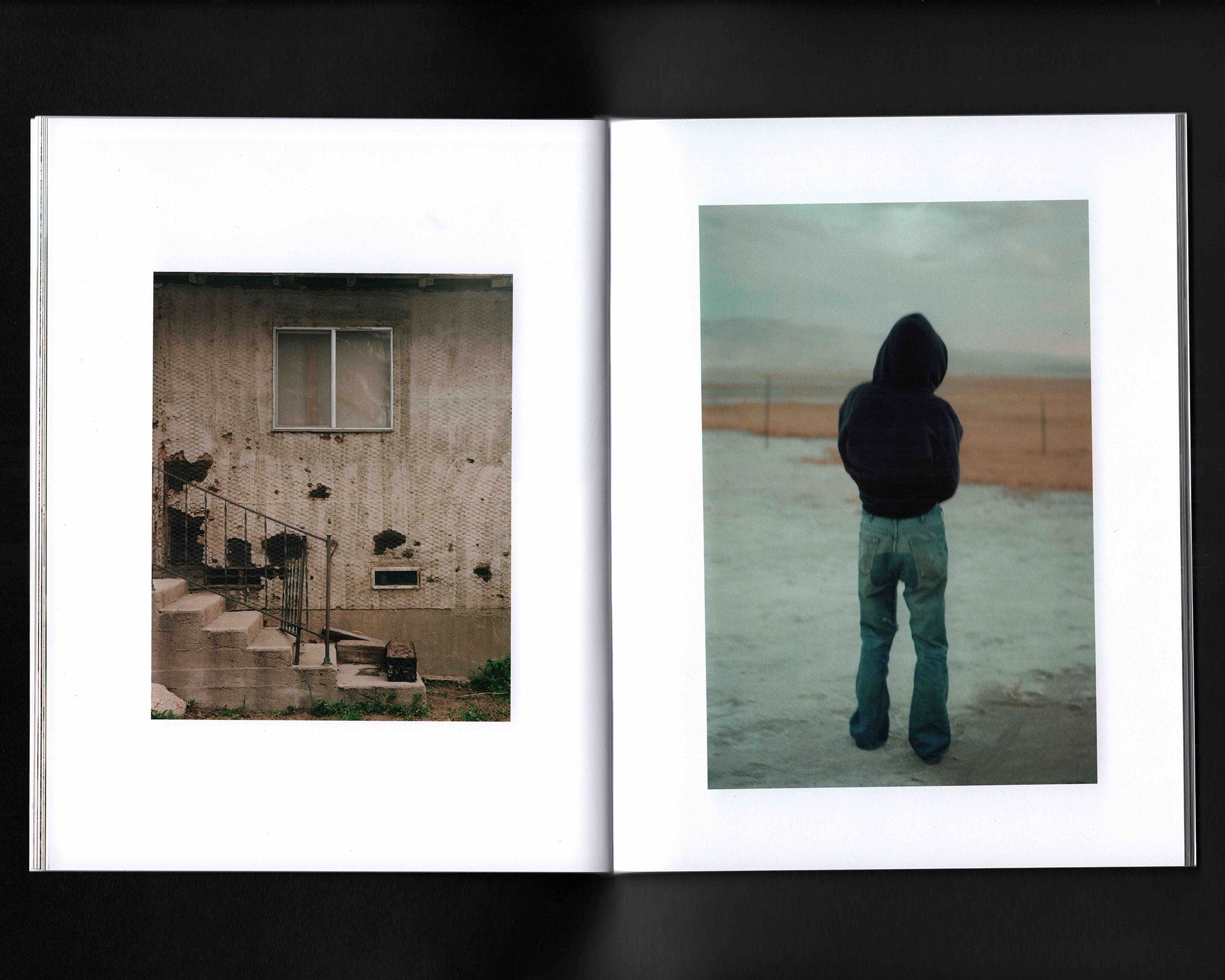 Locust: Olivia Parker & Parker Hao