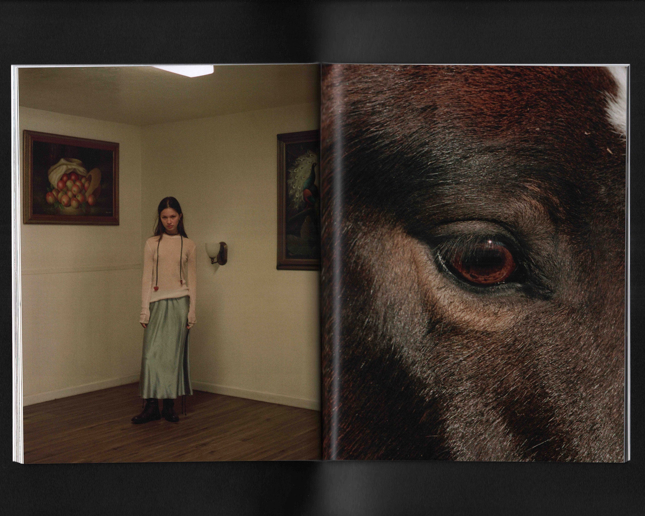 Locust: Olivia Parker & Parker Hao