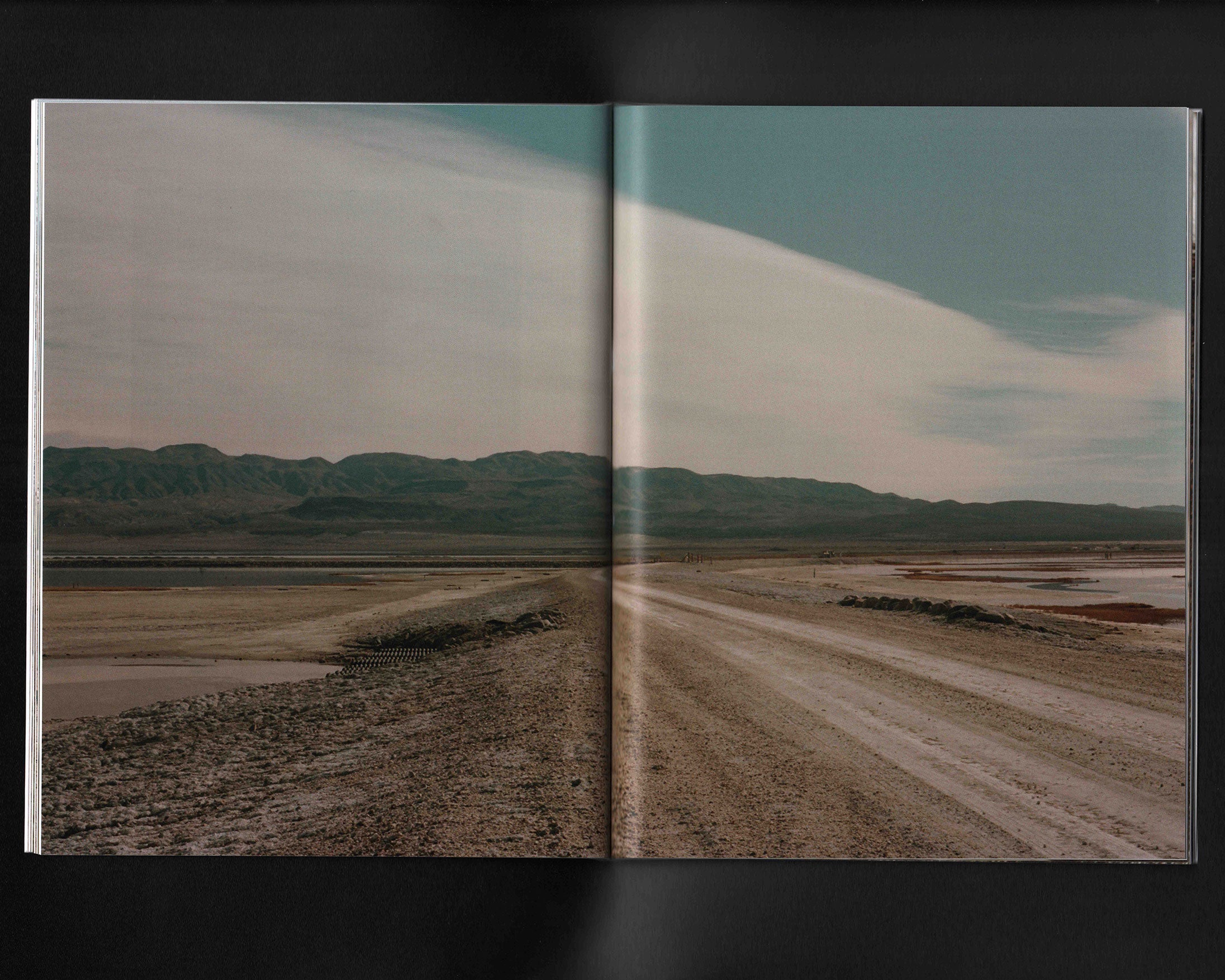 Locust: Olivia Parker & Parker Hao