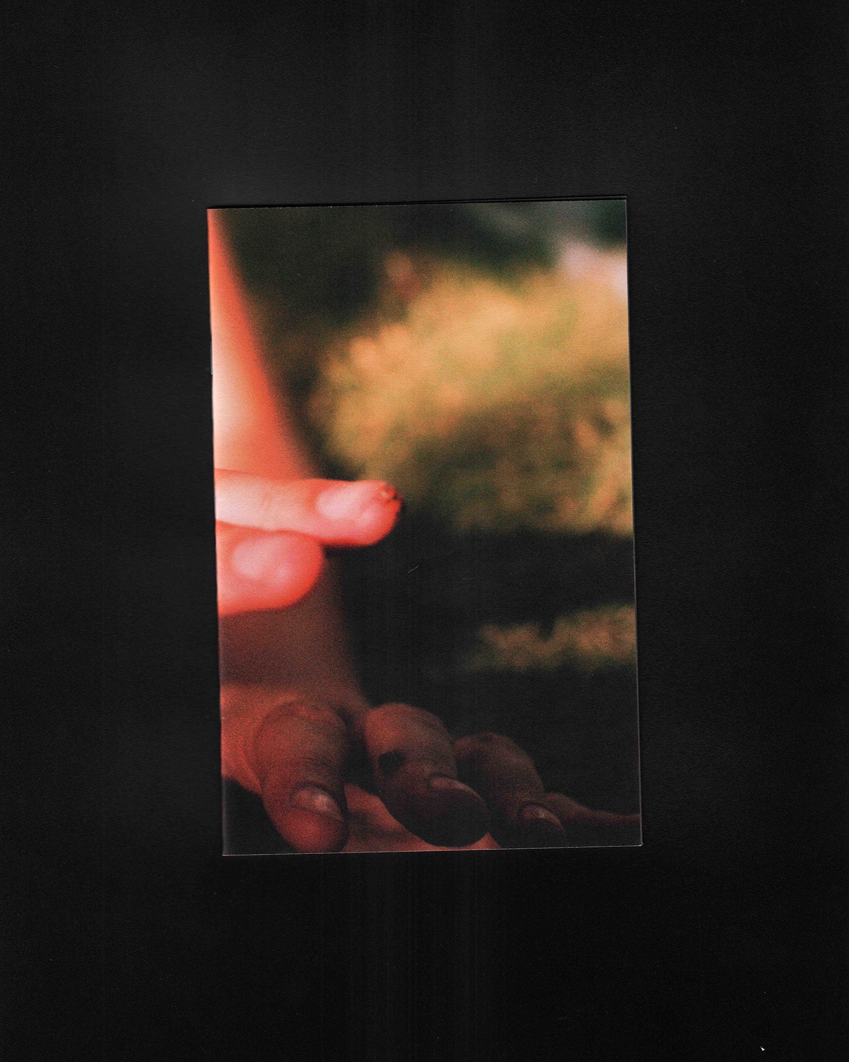 Really: Emilie Wilde