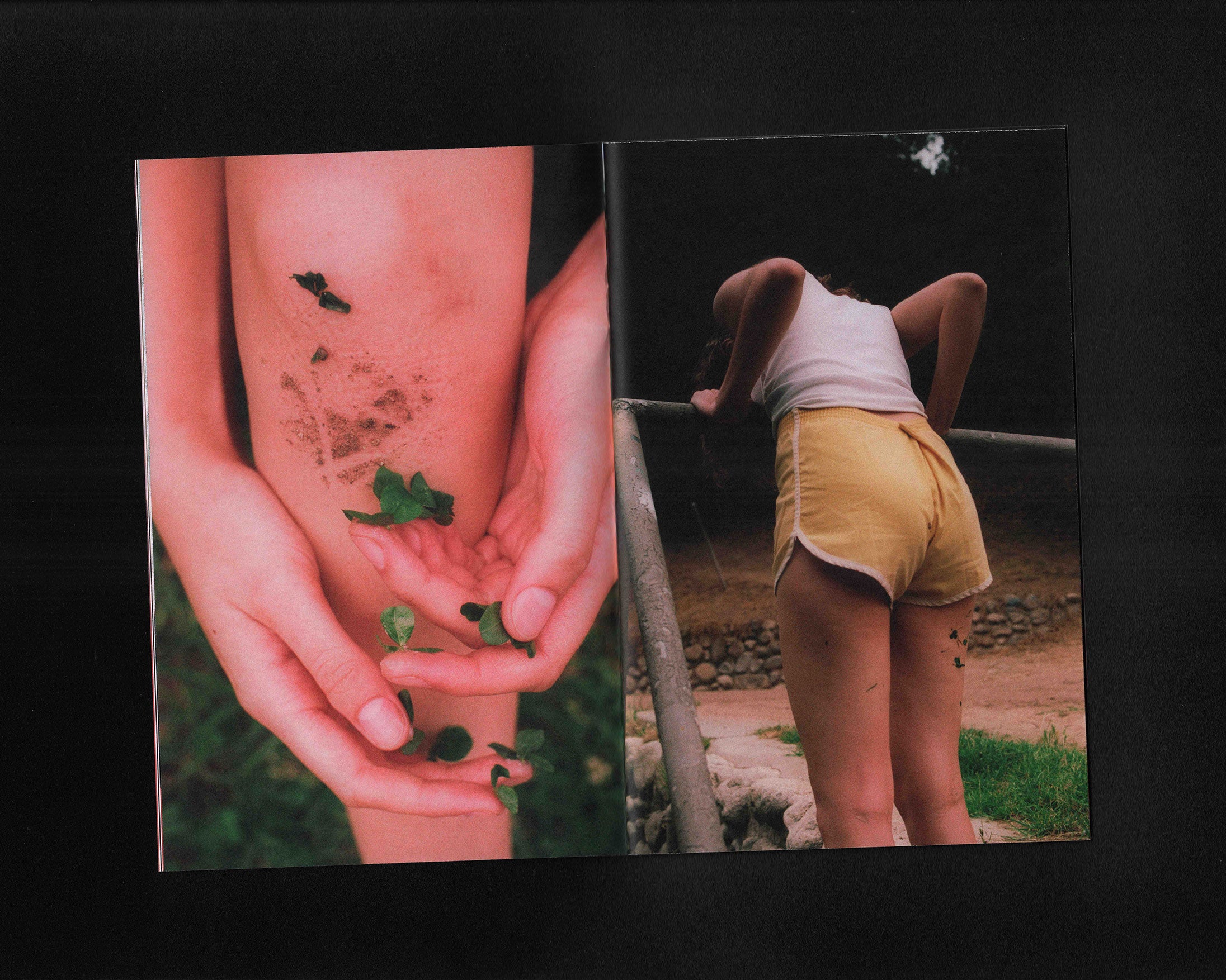 Really: Emilie Wilde