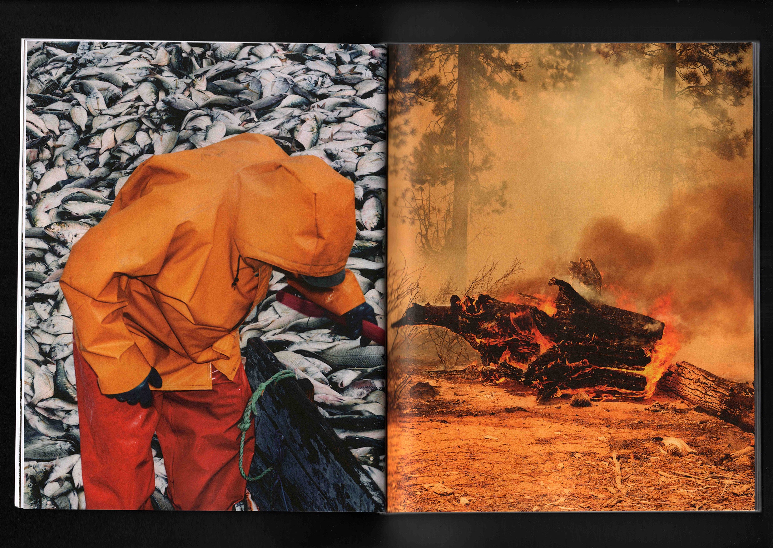 Ways of the Earth: Cole Barash