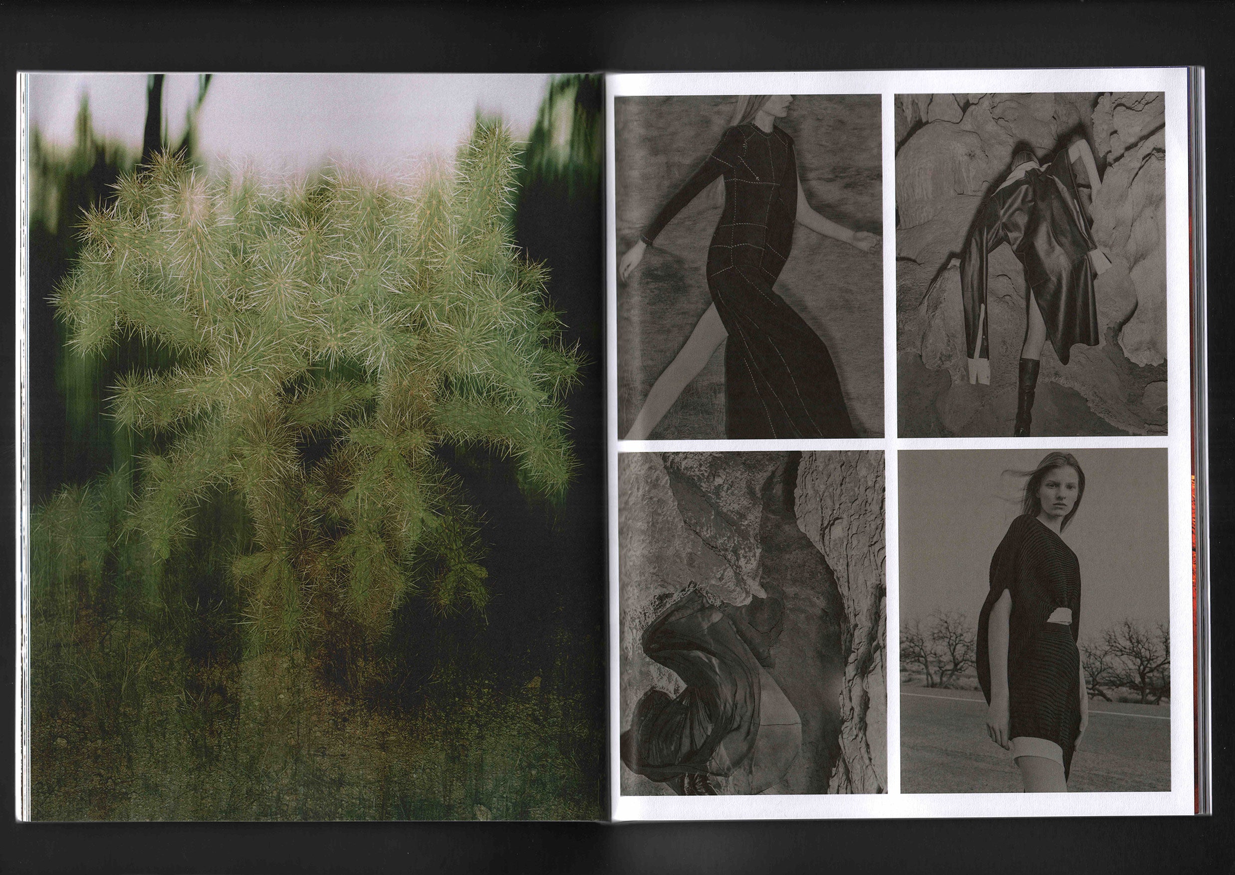 Ways of the Earth: Cole Barash