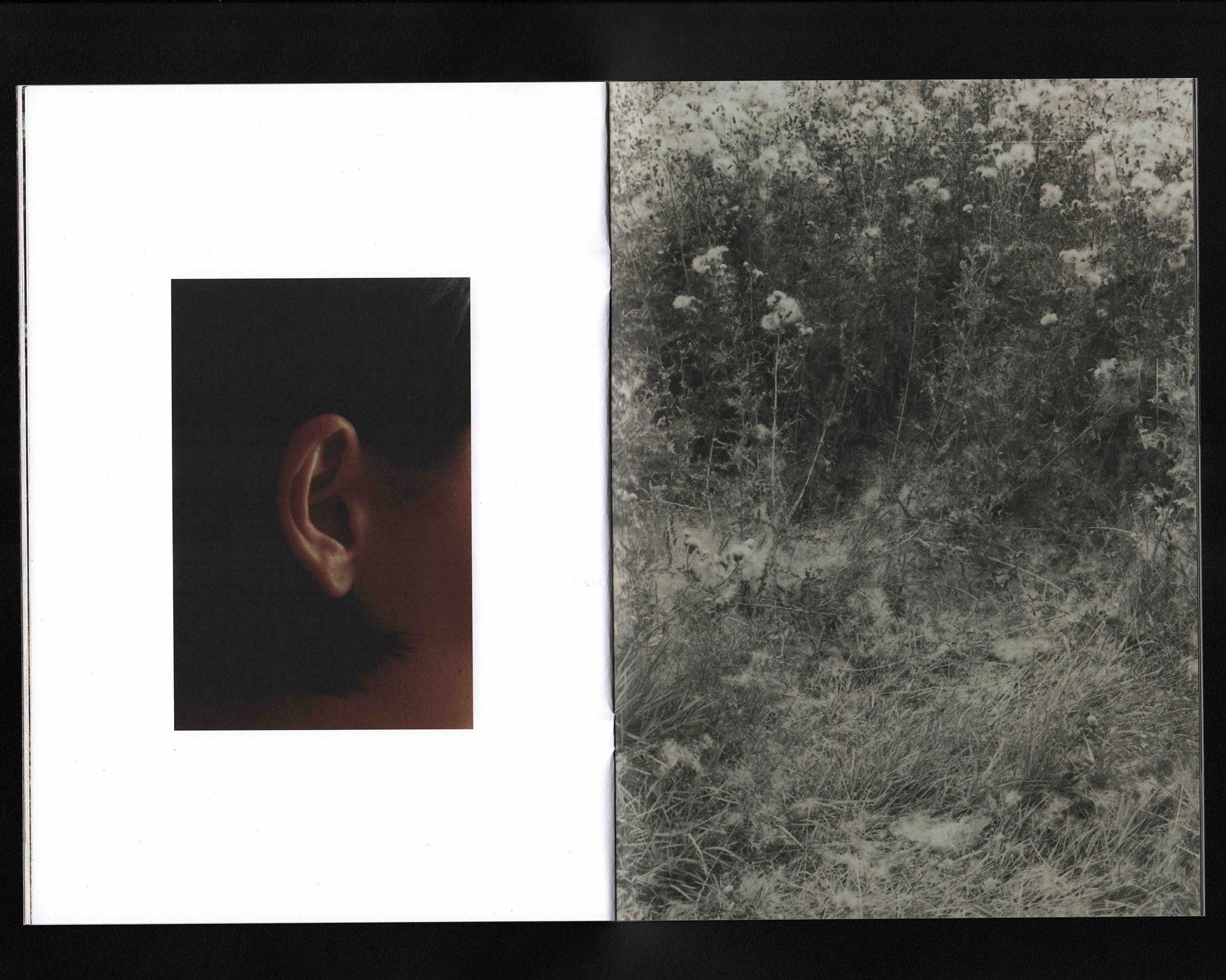 Motel Chronicles. London.: Olivia Parker