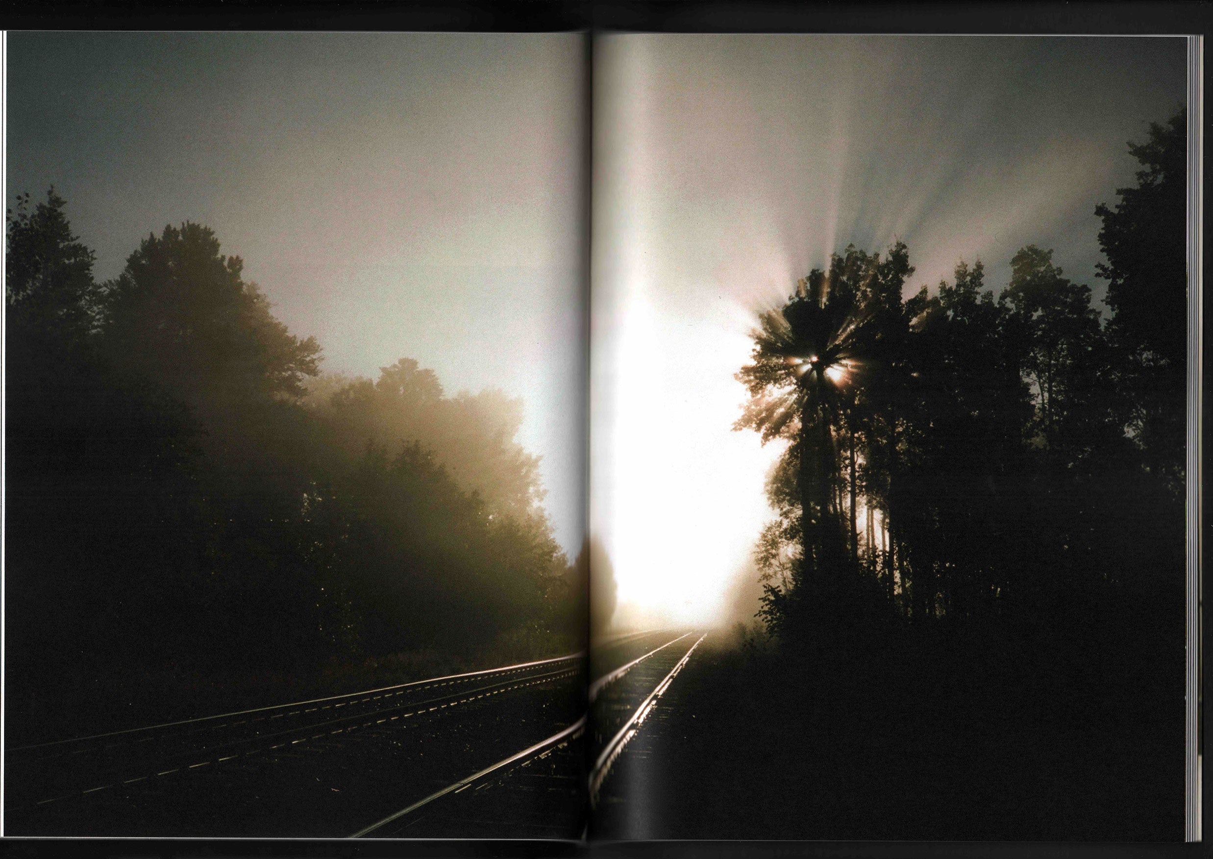 Loss of Amnesia: Brett Gifford