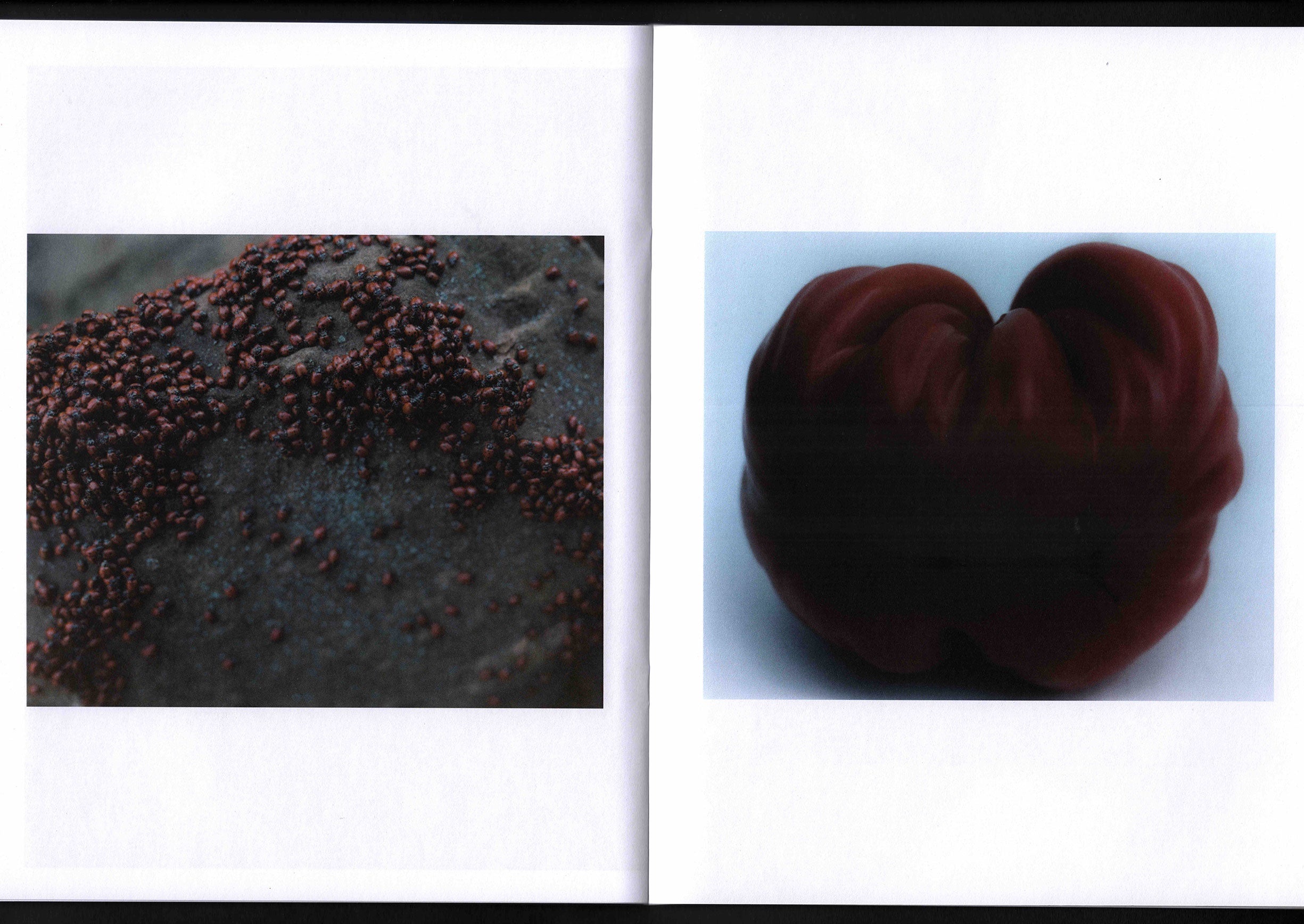 To the Touch: Mikayla Jean Miller