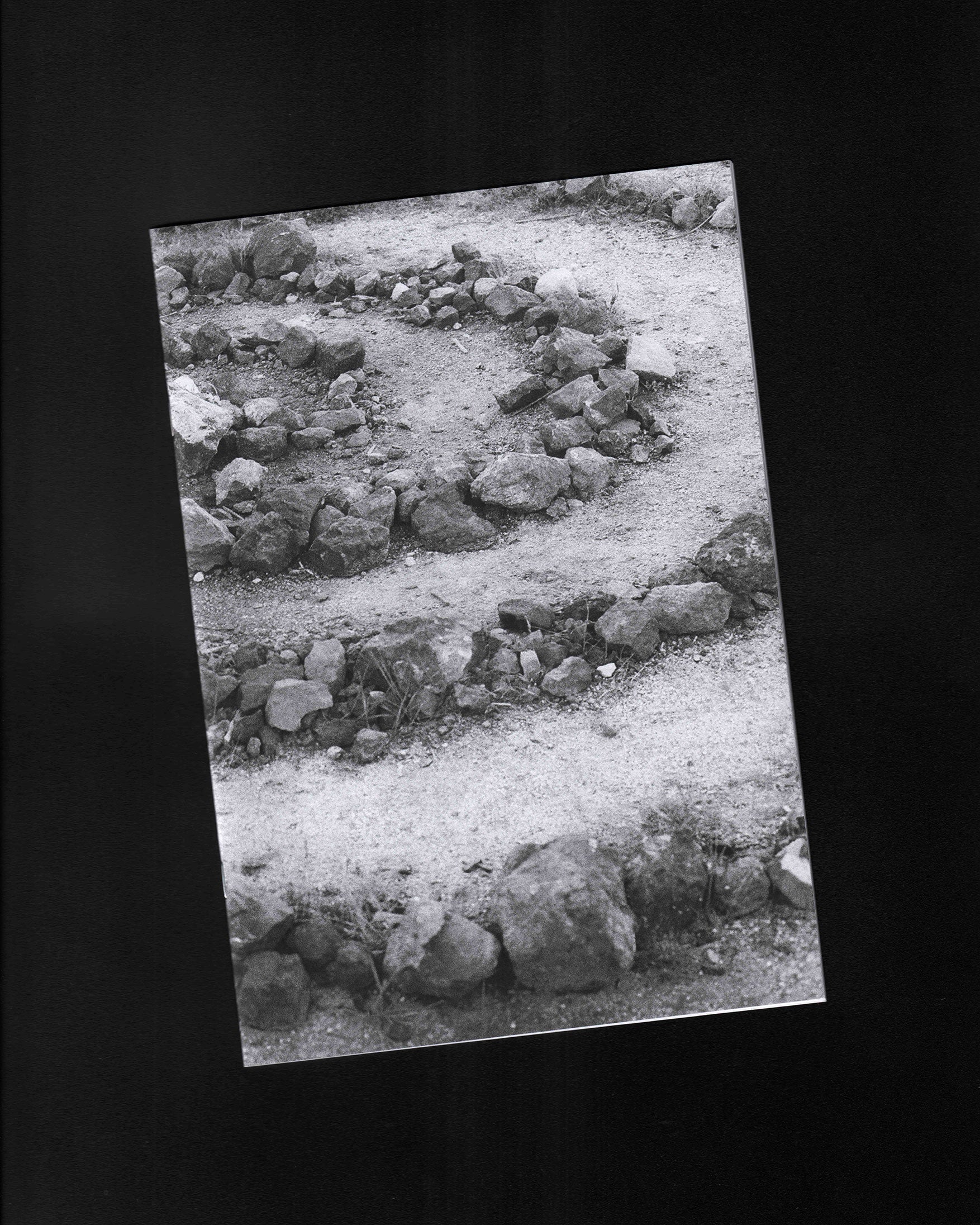 In the In Between: Francesca Hsu