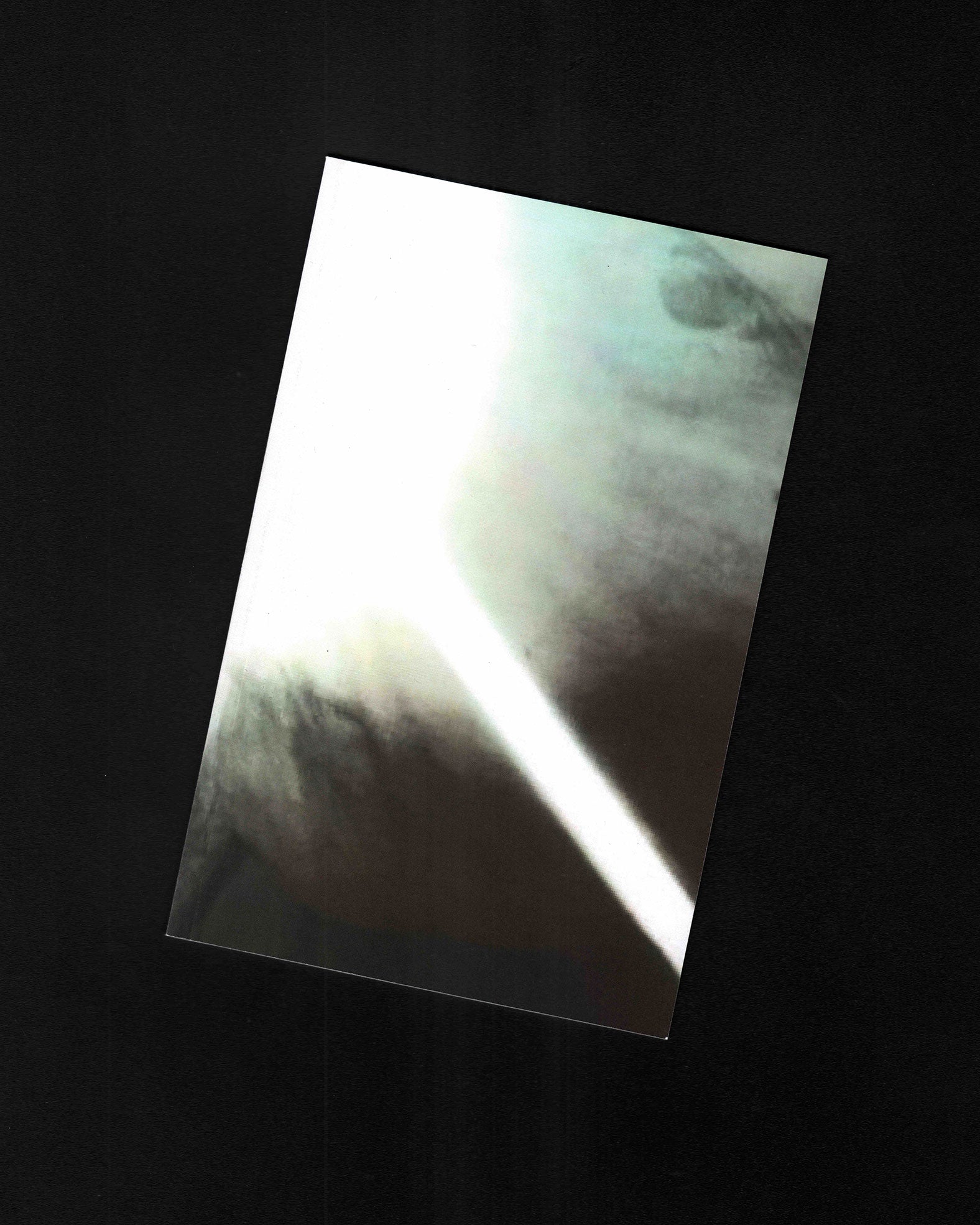 Ari 2025: Ariana Mamnoon