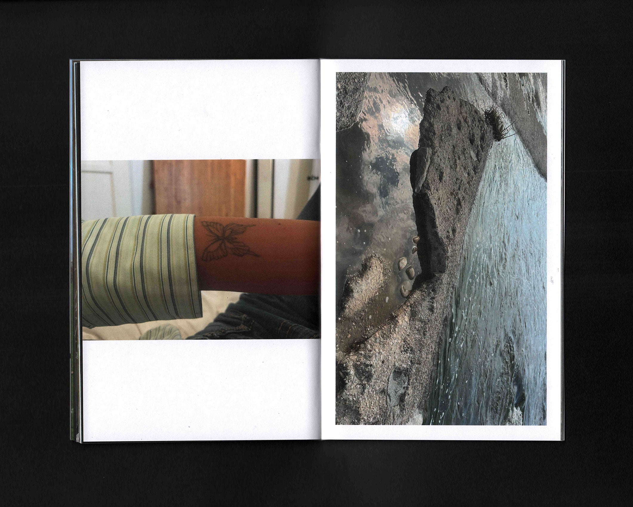 Ari 2025: Ariana Mamnoon