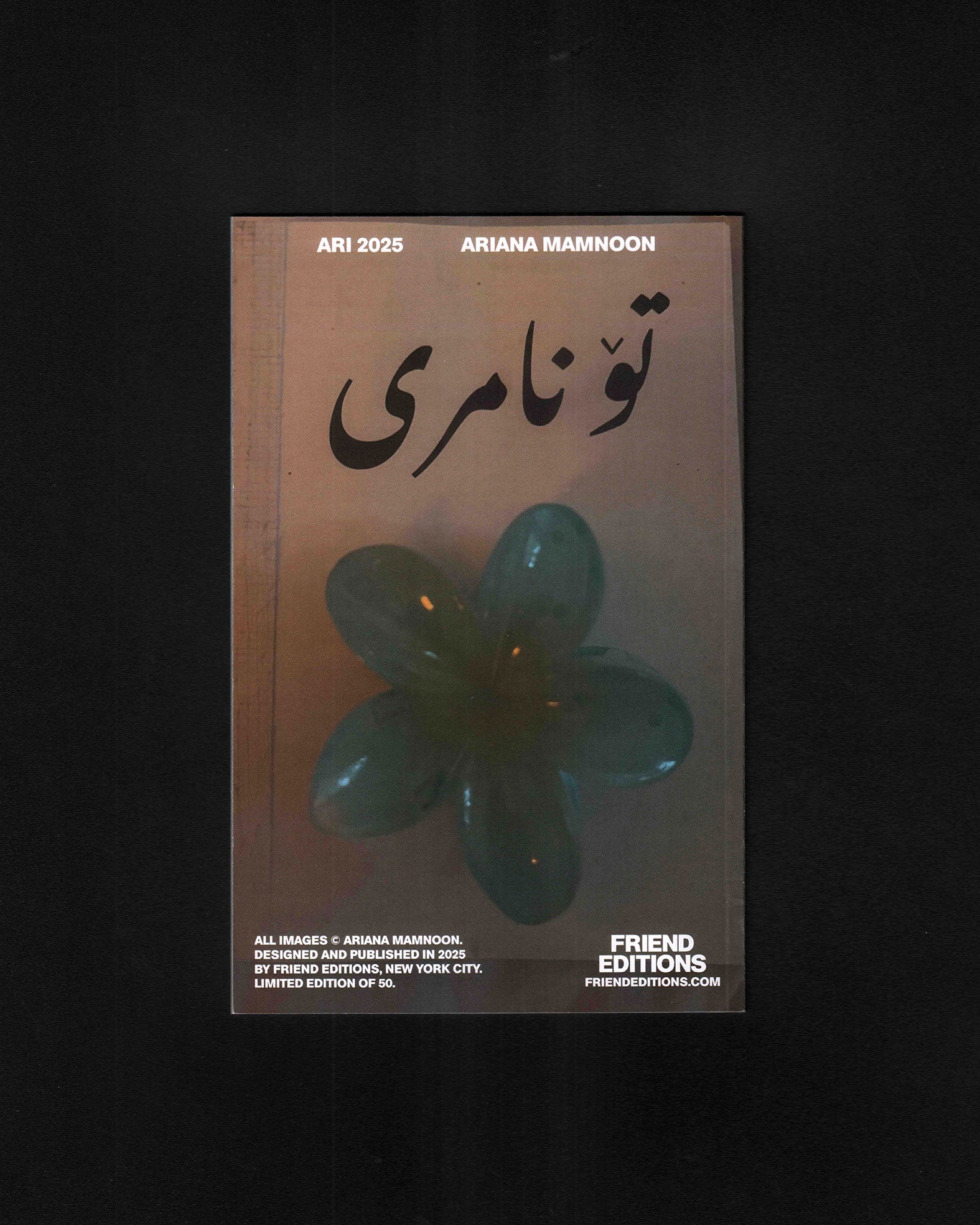 Ari 2025: Ariana Mamnoon