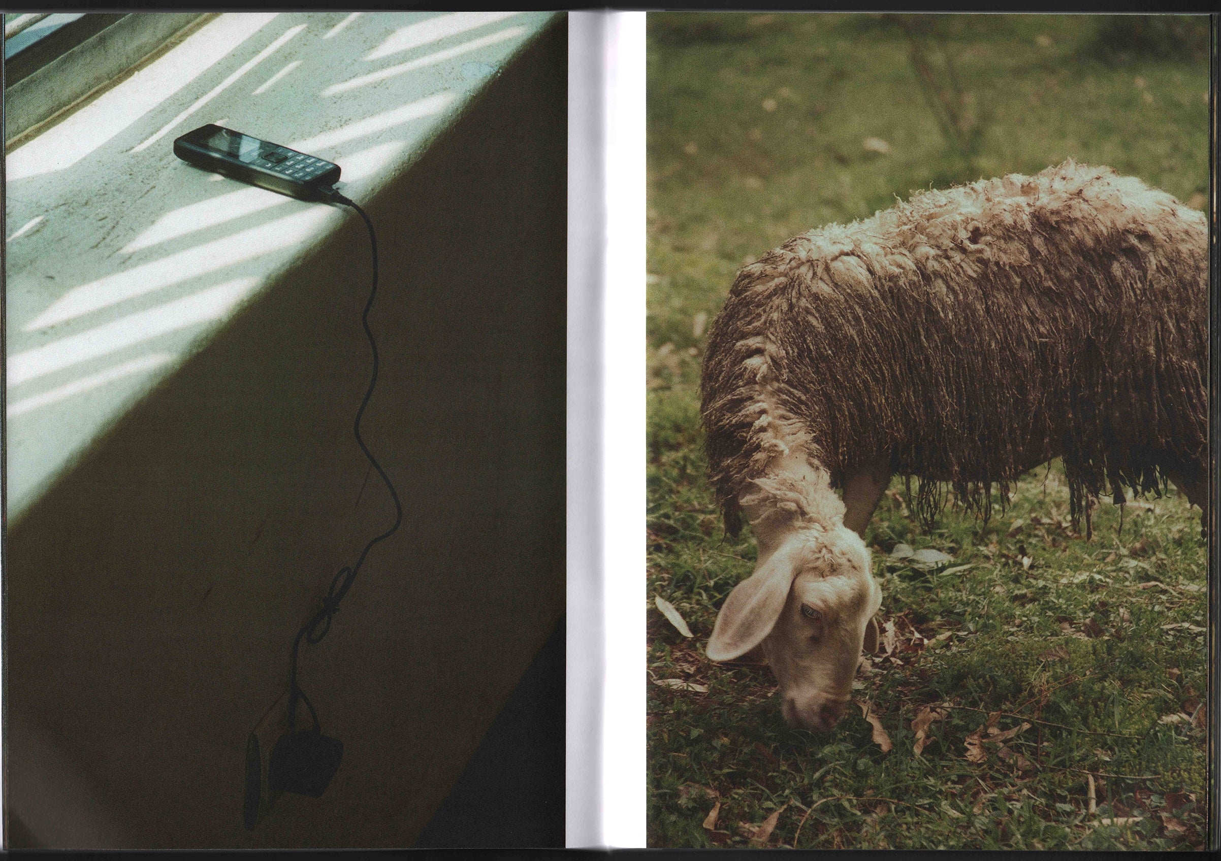 RWANDA: Phoenix Johnson