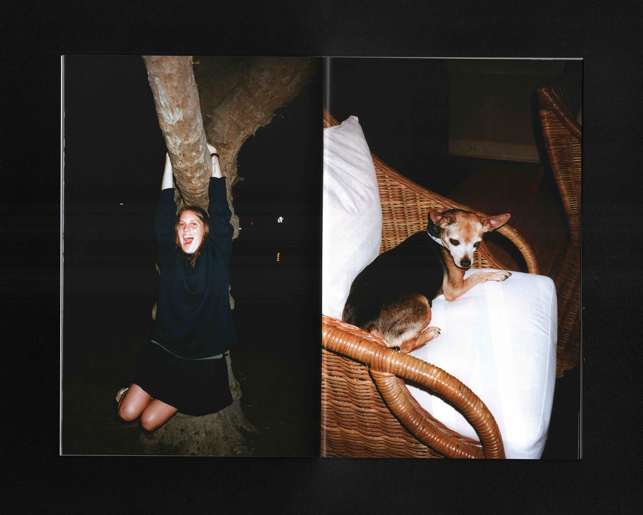 Stop and Smell the Flowers: Christopher Chang