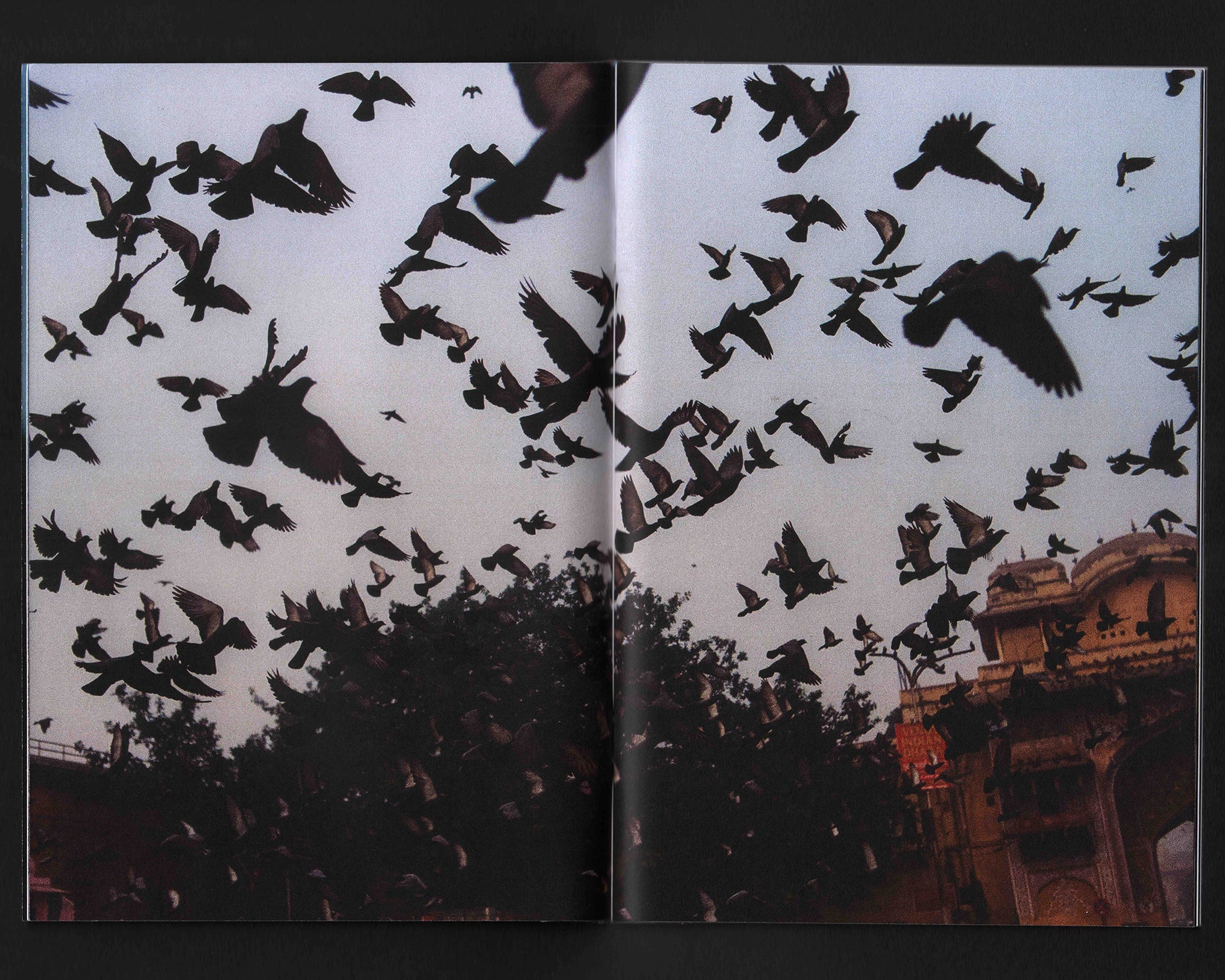 An Open Hand: Stefan Kohli