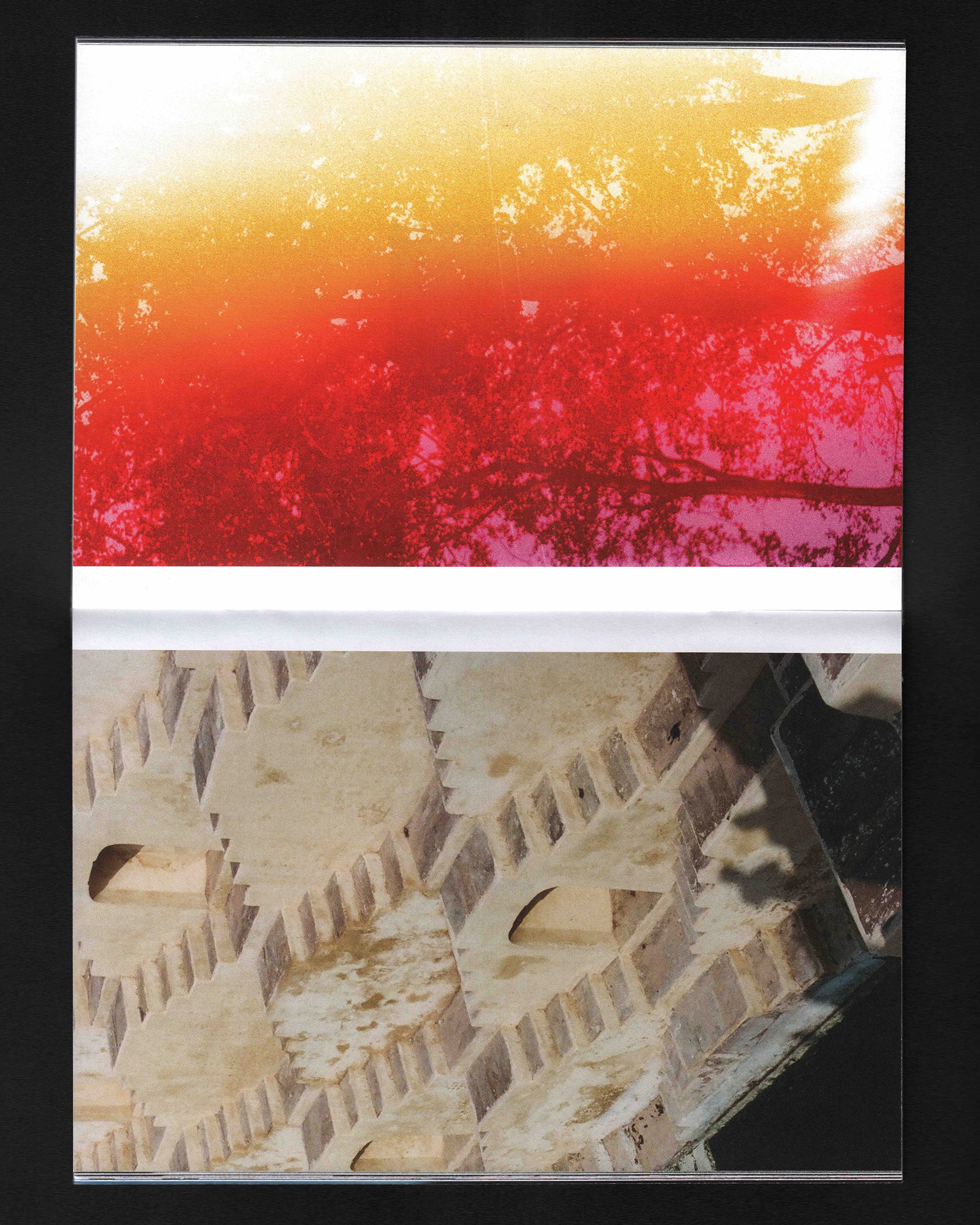 An Open Hand: Stefan Kohli