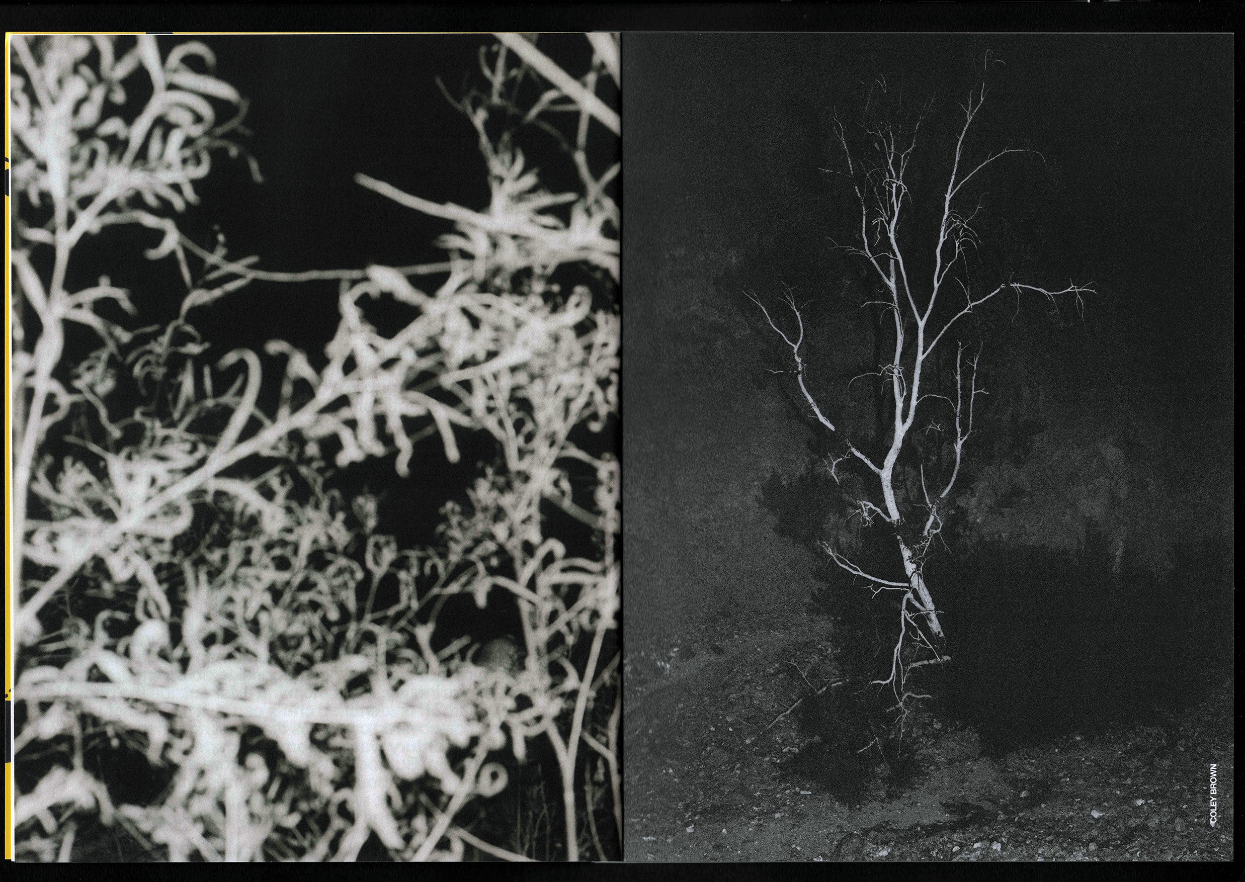 Visions Vol.1: Otherworld