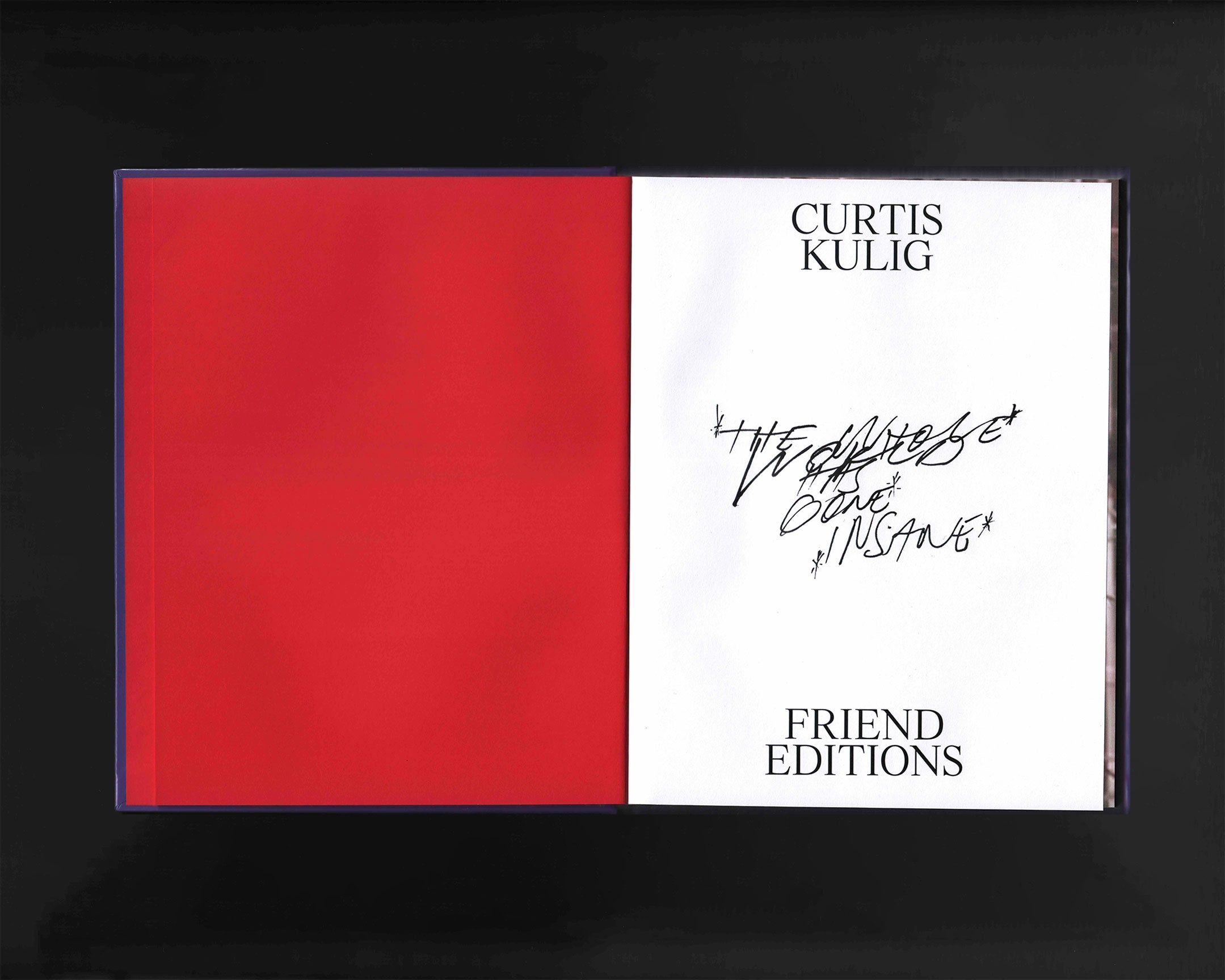 The Whole World Has Gone Insane: Curtis Kulig