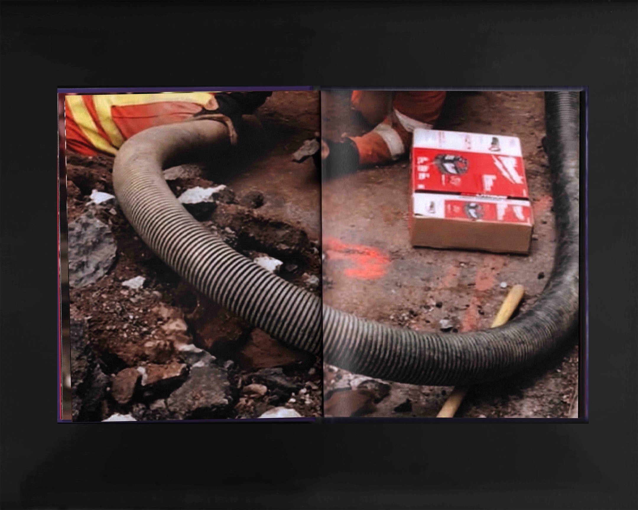 The Whole World Has Gone Insane: Curtis Kulig