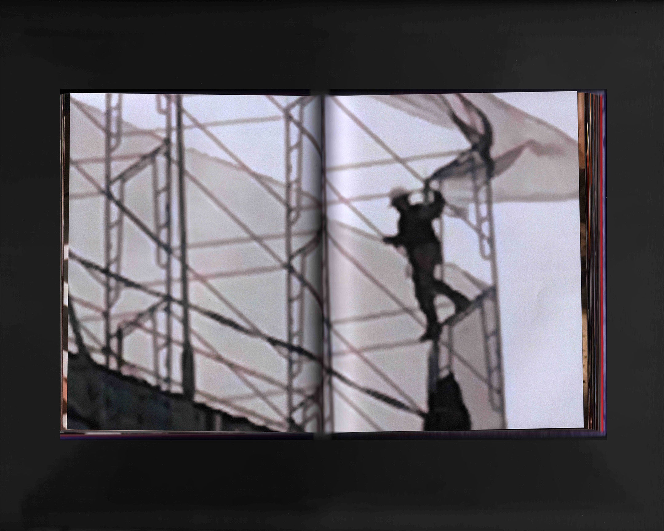 The Whole World Has Gone Insane: Curtis Kulig