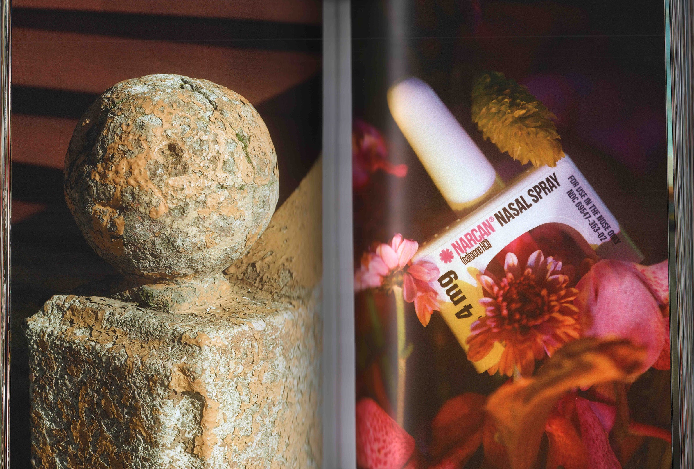 Christian: Christian Michael Filardo