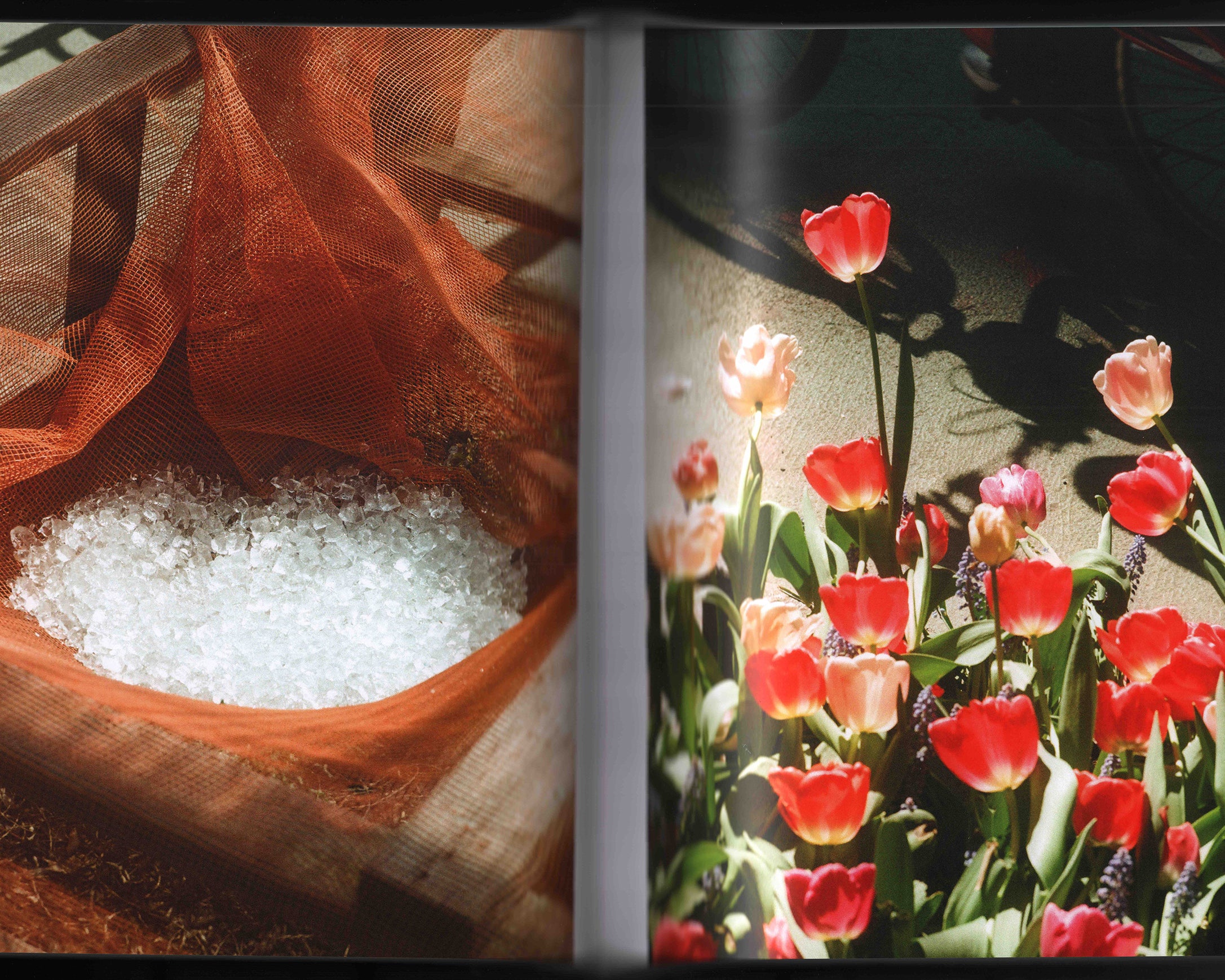 Christian: Christian Michael Filardo