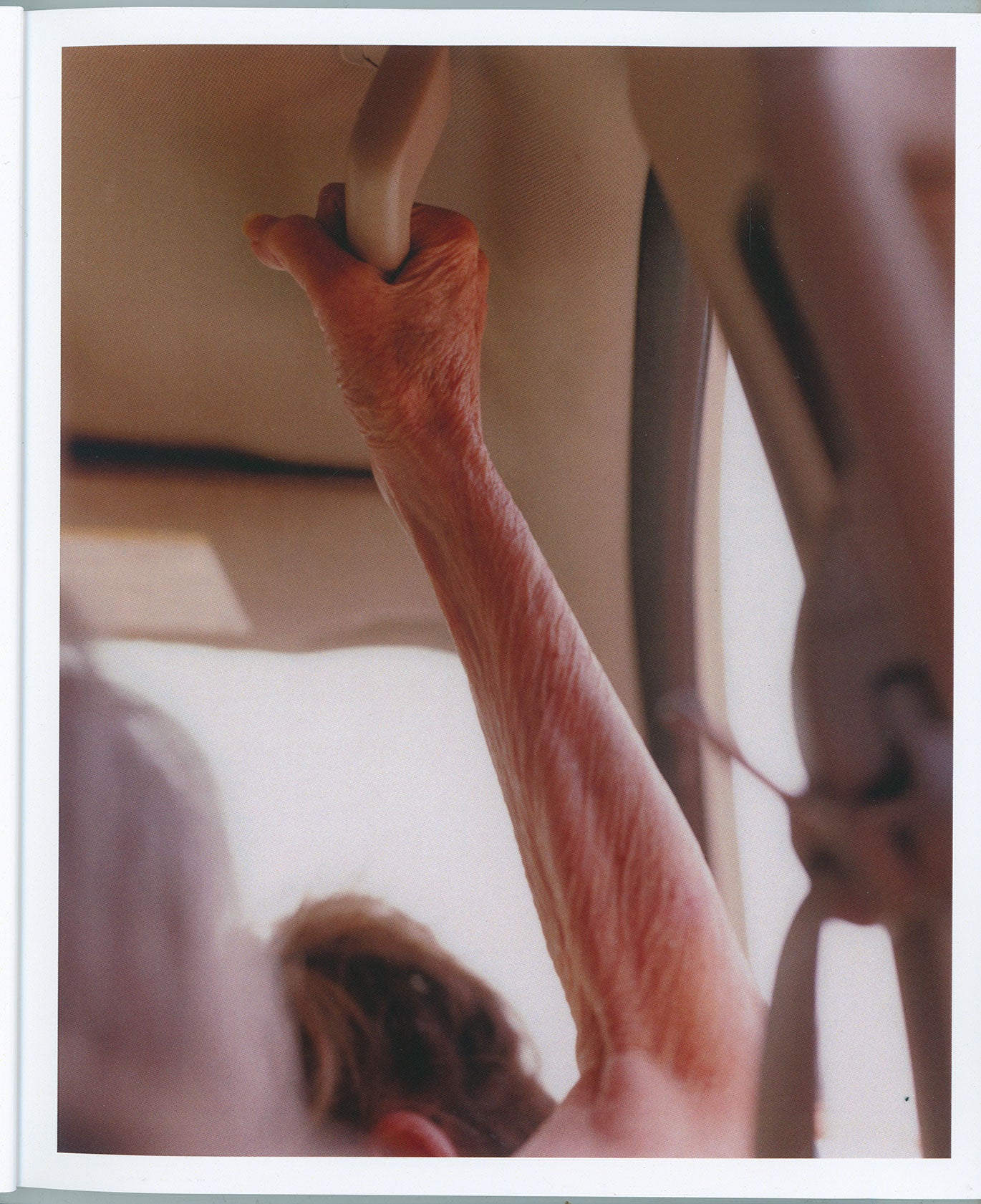 Hissyfit: Hailey Heaton