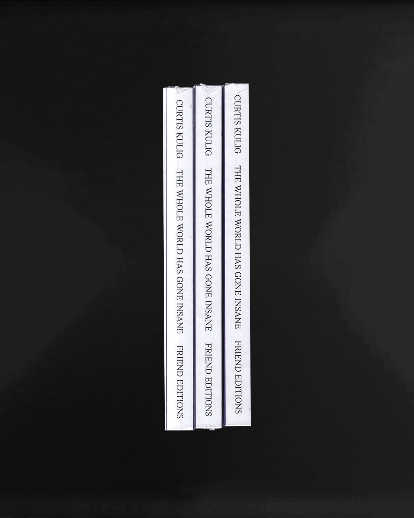 The Whole World Has Gone Insane: Curtis Kulig