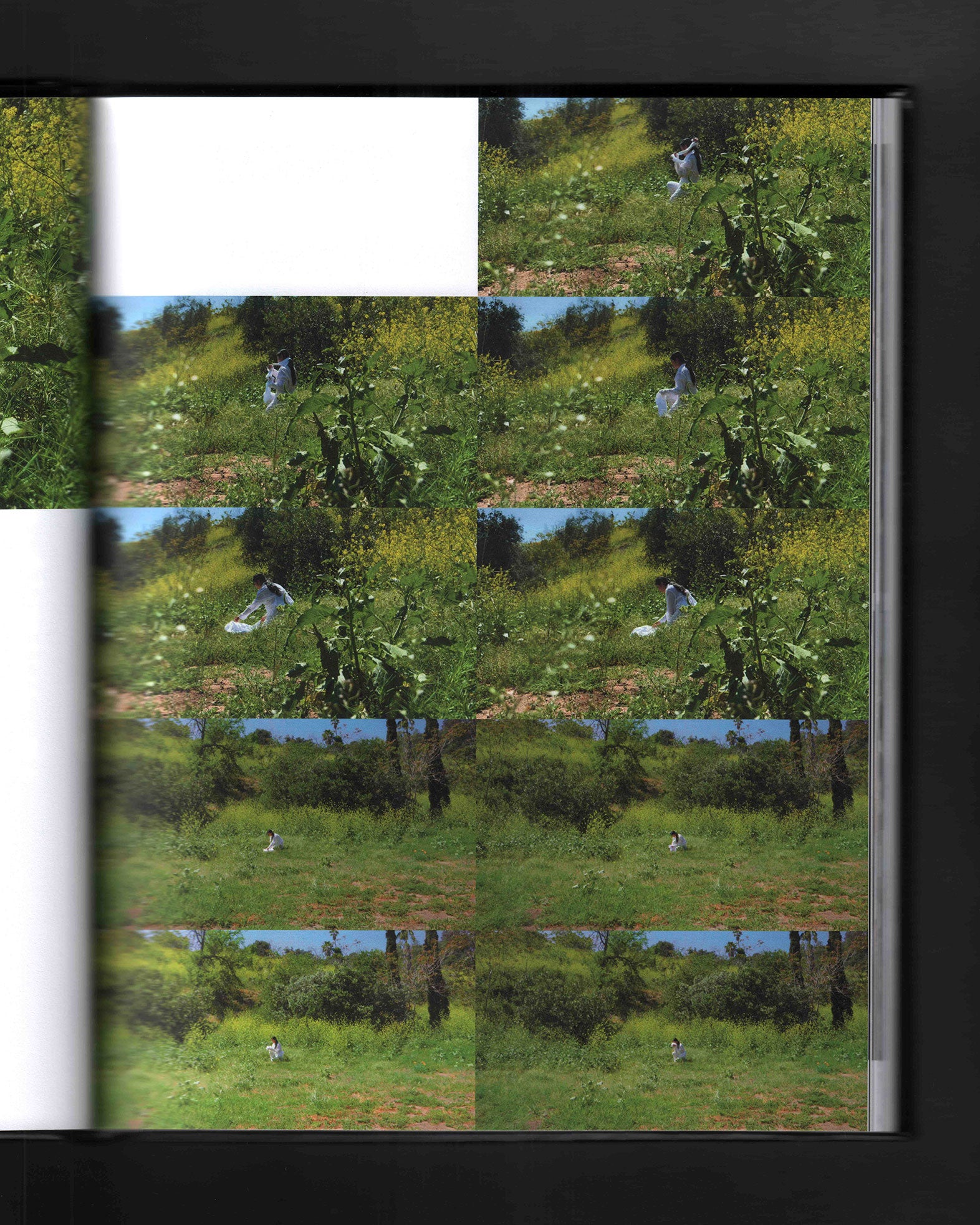 Bul: Christine Yerie Lee