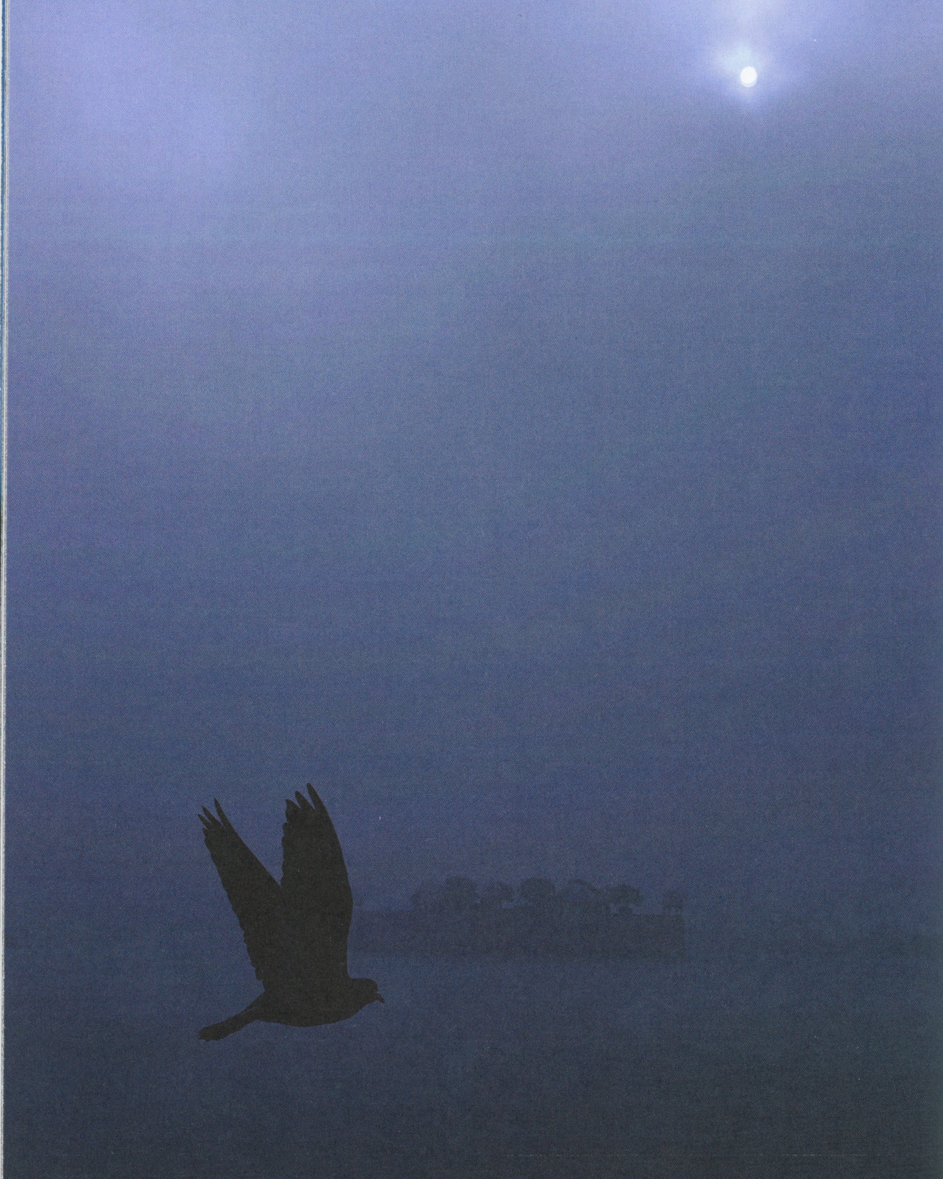 An Open Hand: Stefan Kohli