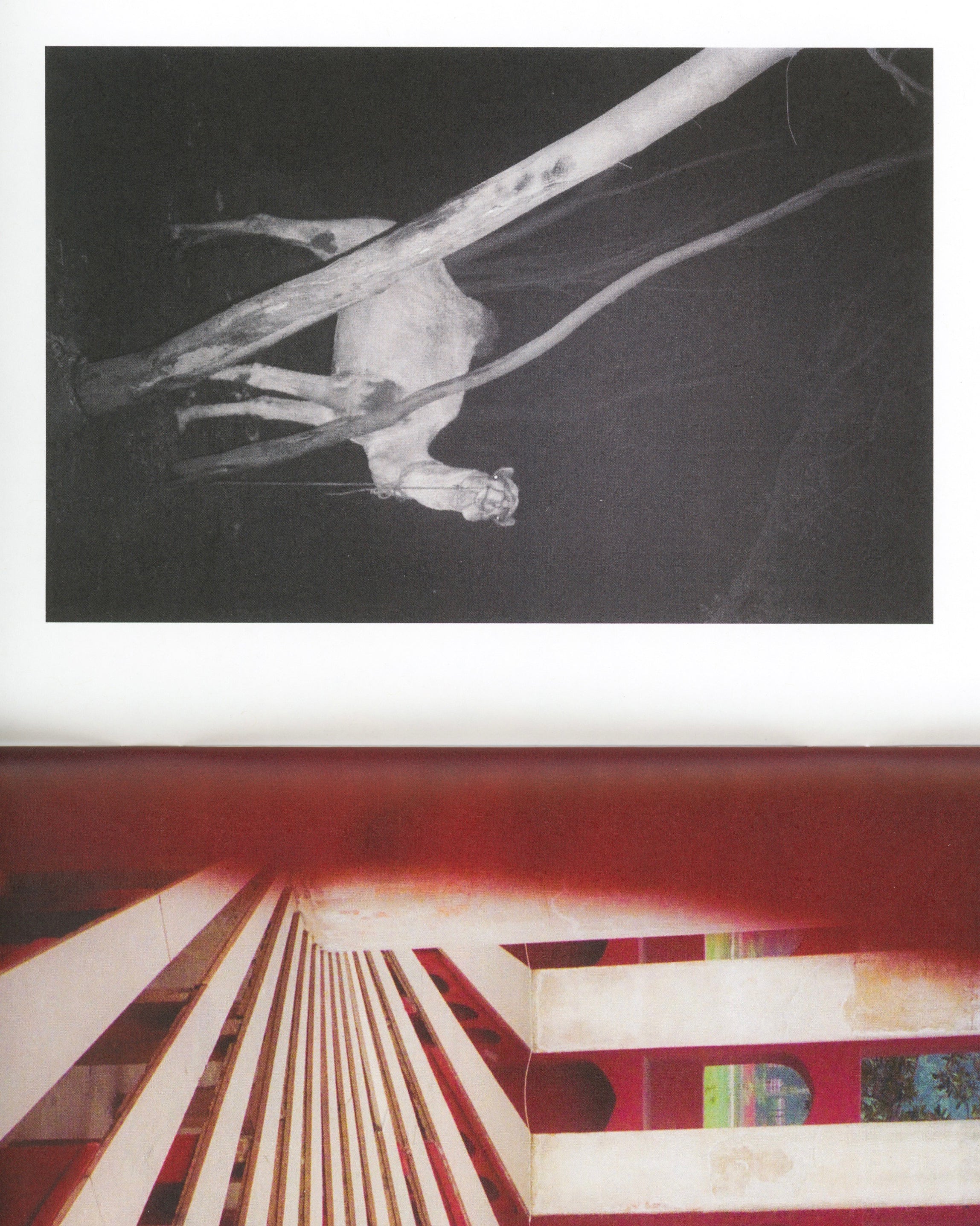 An Open Hand: Stefan Kohli