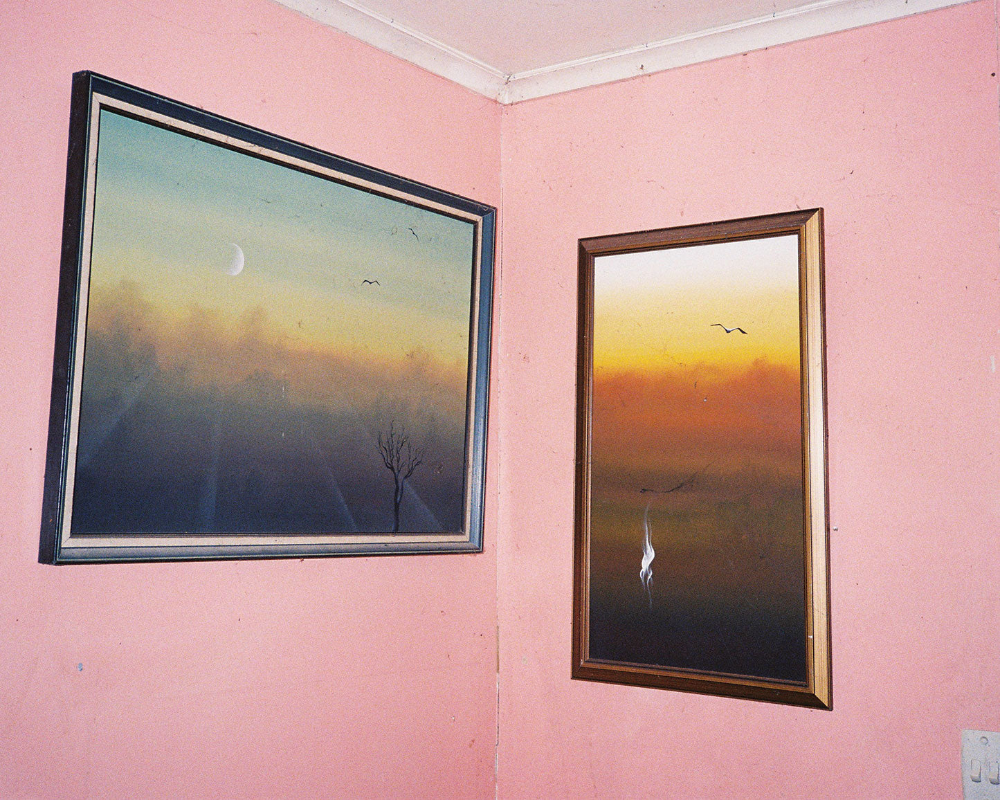 Pronoia: Henry O'Head