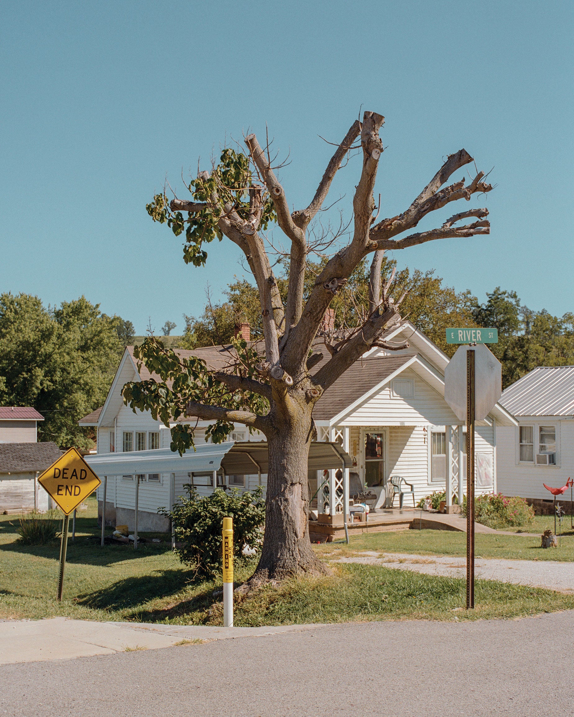 Pronoia: Henry O'Head