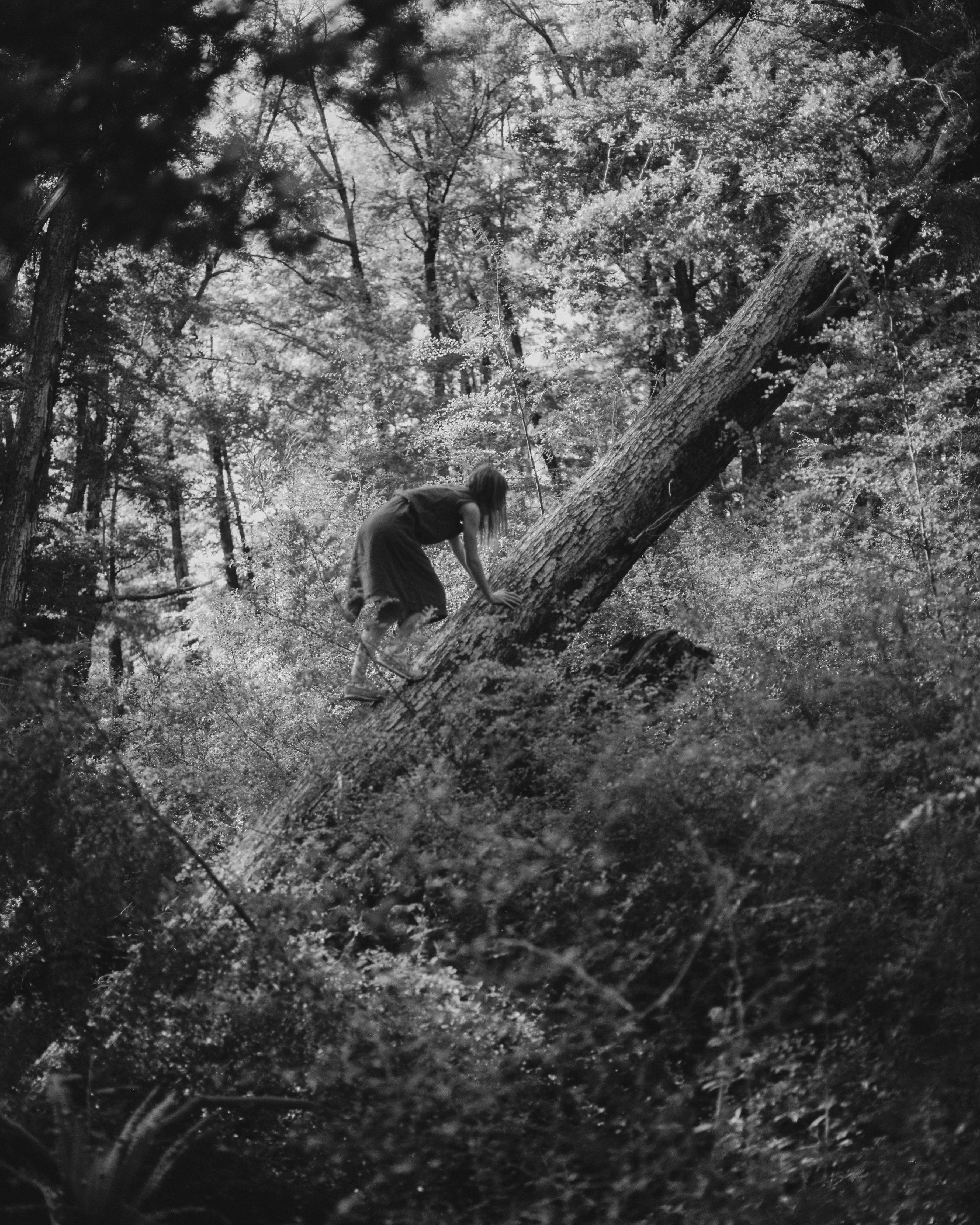 Pronoia: Henry O'Head