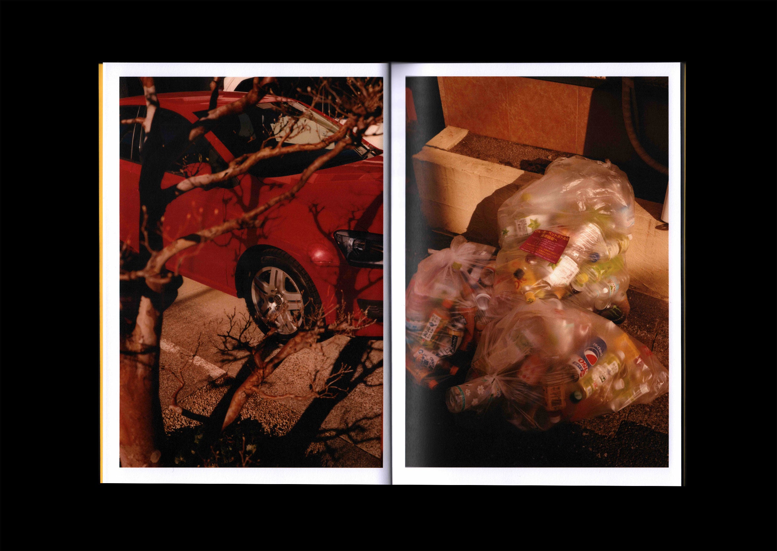 Best of Luck: Jack Belli