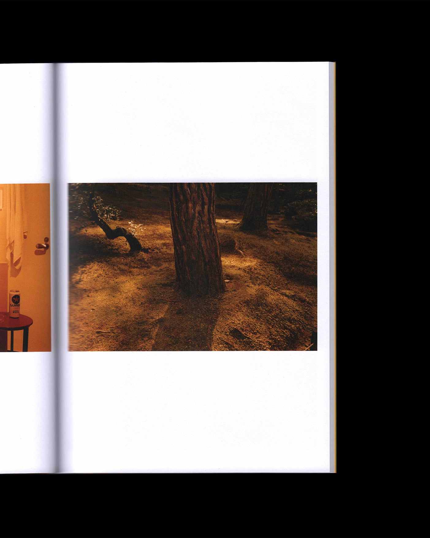 Best of Luck: Jack Belli