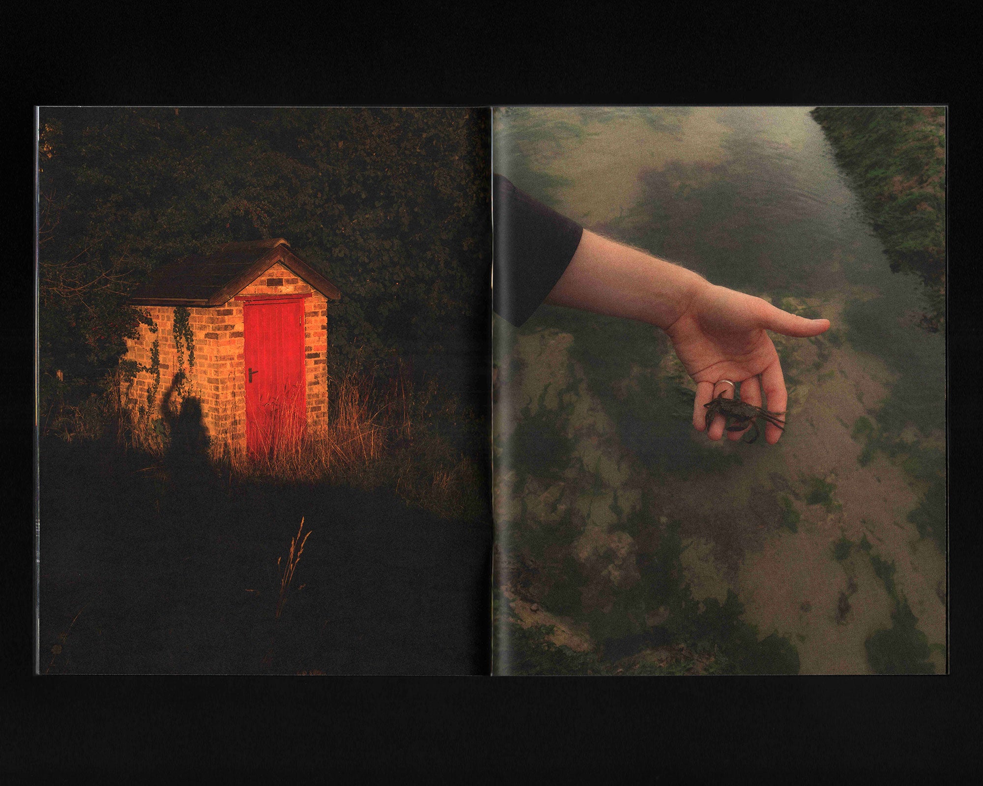 Surrender Gasoline: Jesse Feinman