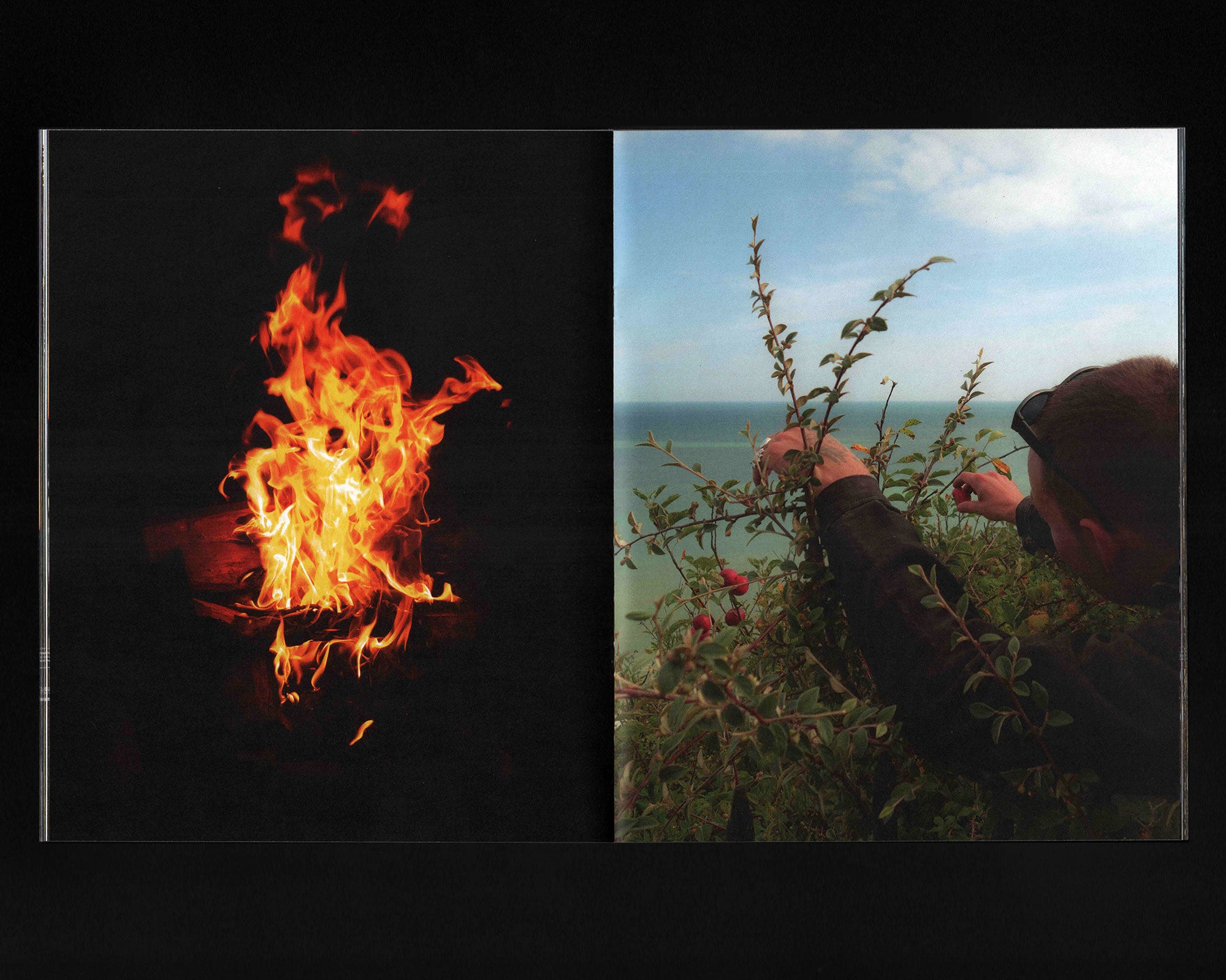 Surrender Gasoline: Jesse Feinman