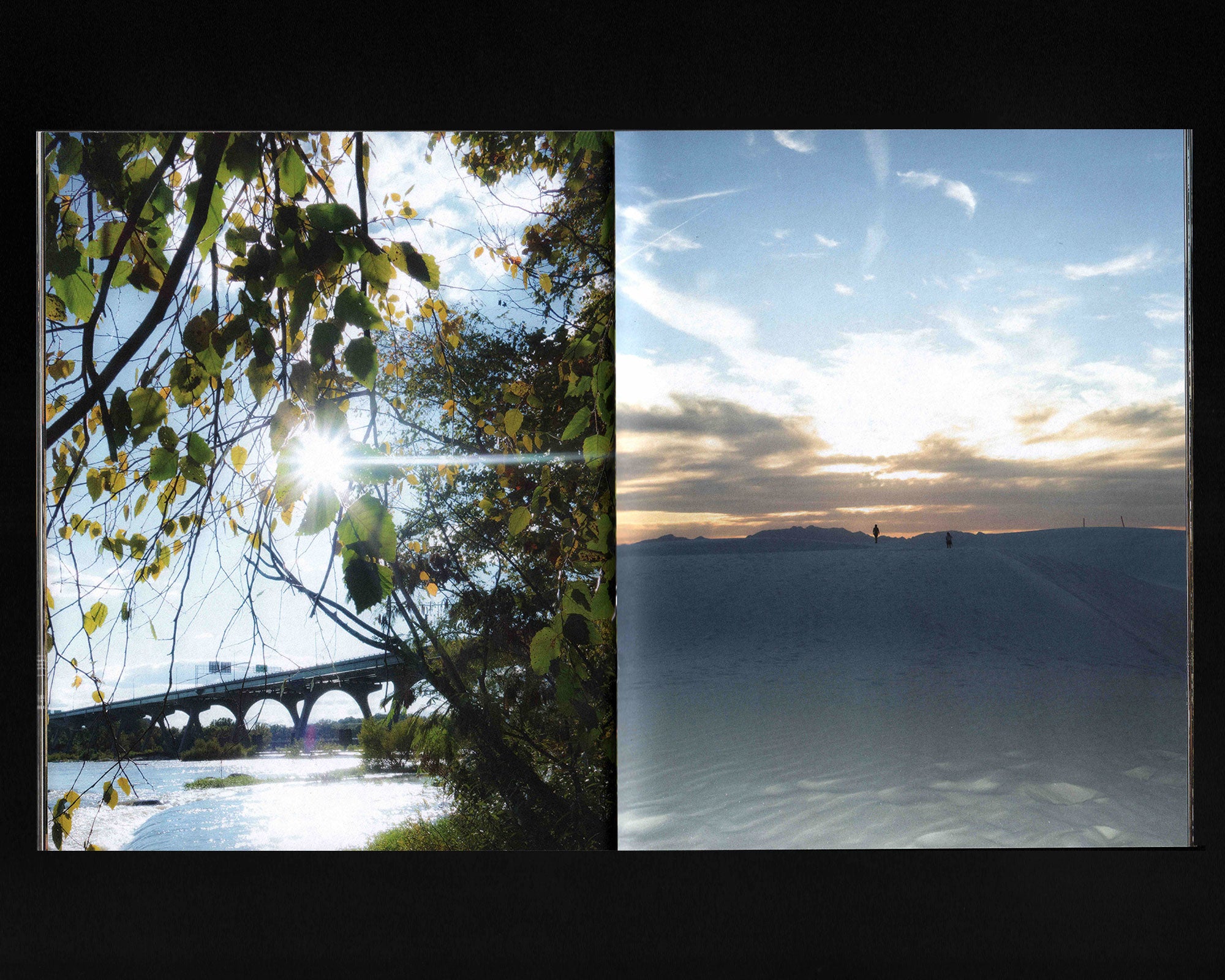 Surrender Gasoline: Jesse Feinman