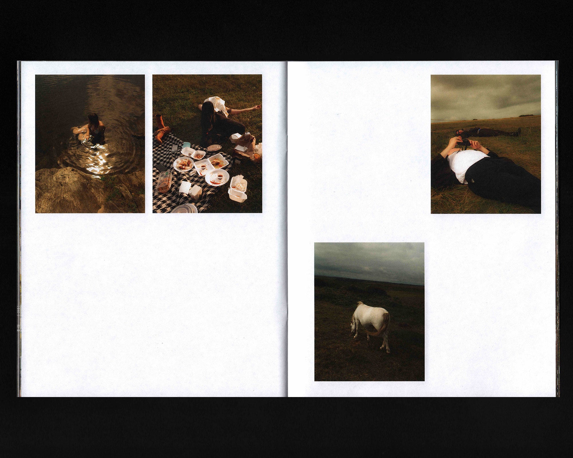 Surrender Gasoline: Jesse Feinman