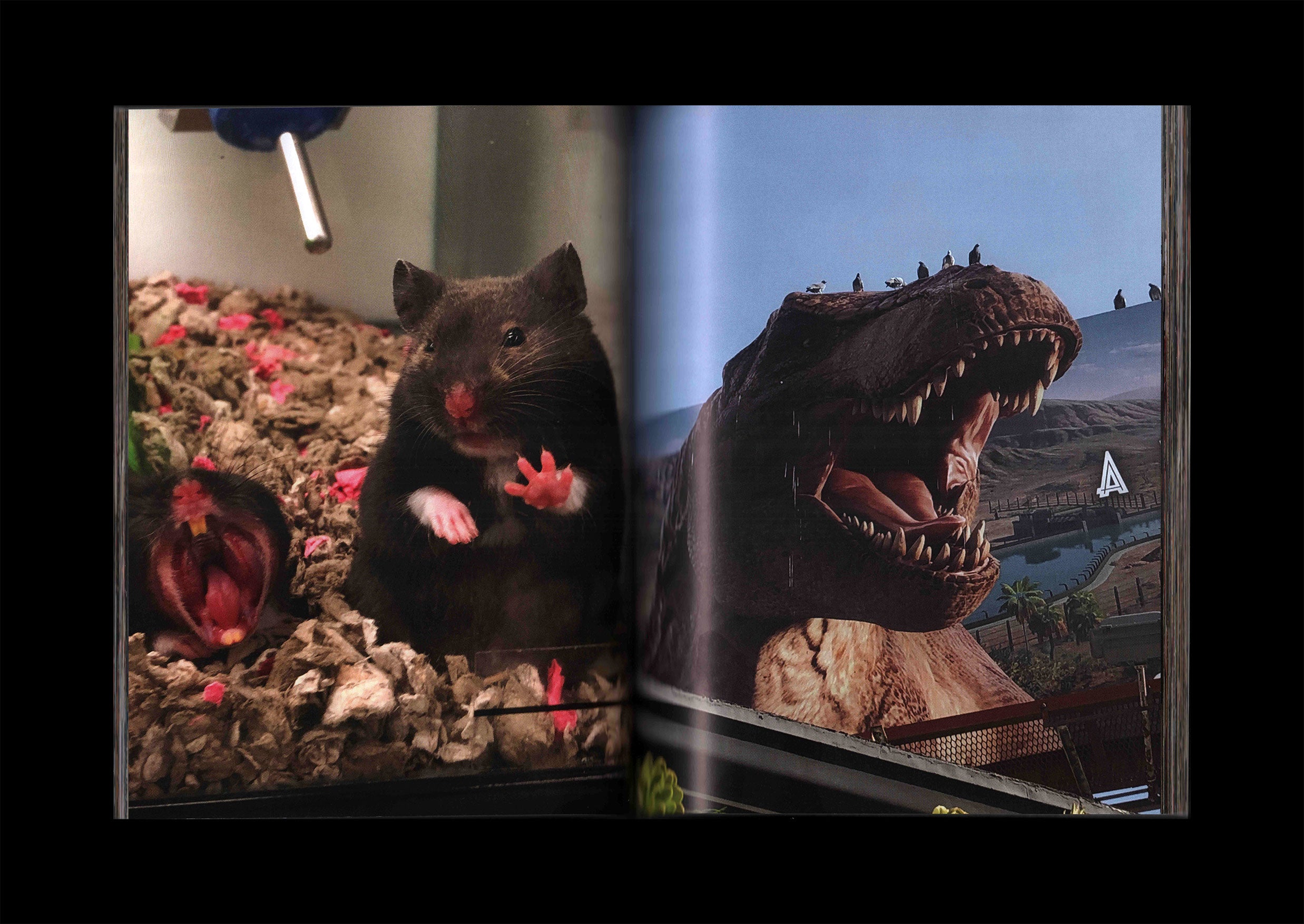 Lonley City (third Edition): Jerry Hsu